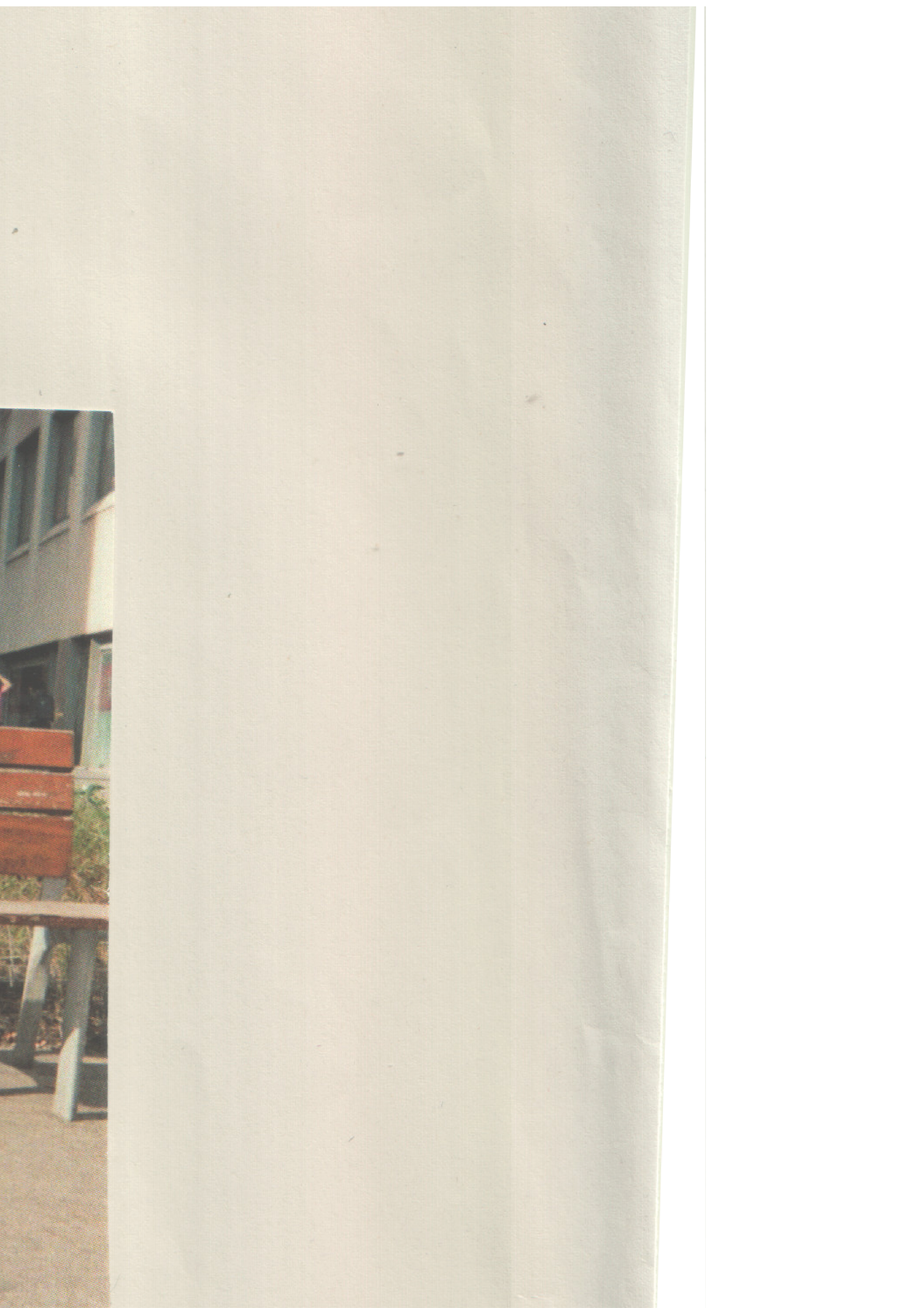 p31.png
