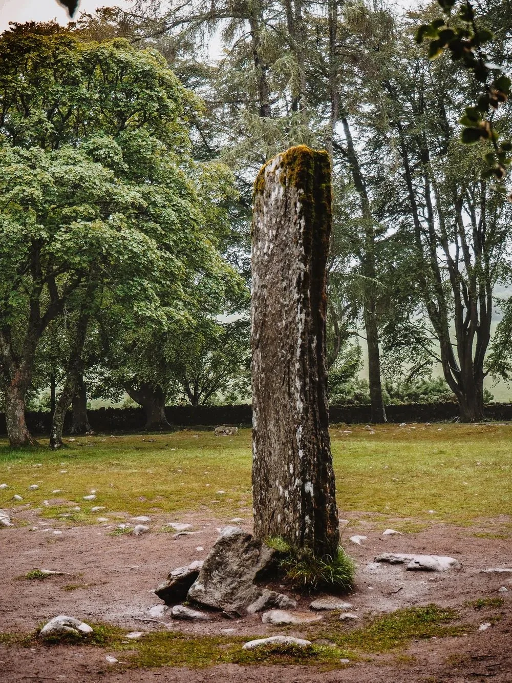 A moss-covered, weathered standing stone in a grassy clearing surrounded by large leafy trees.