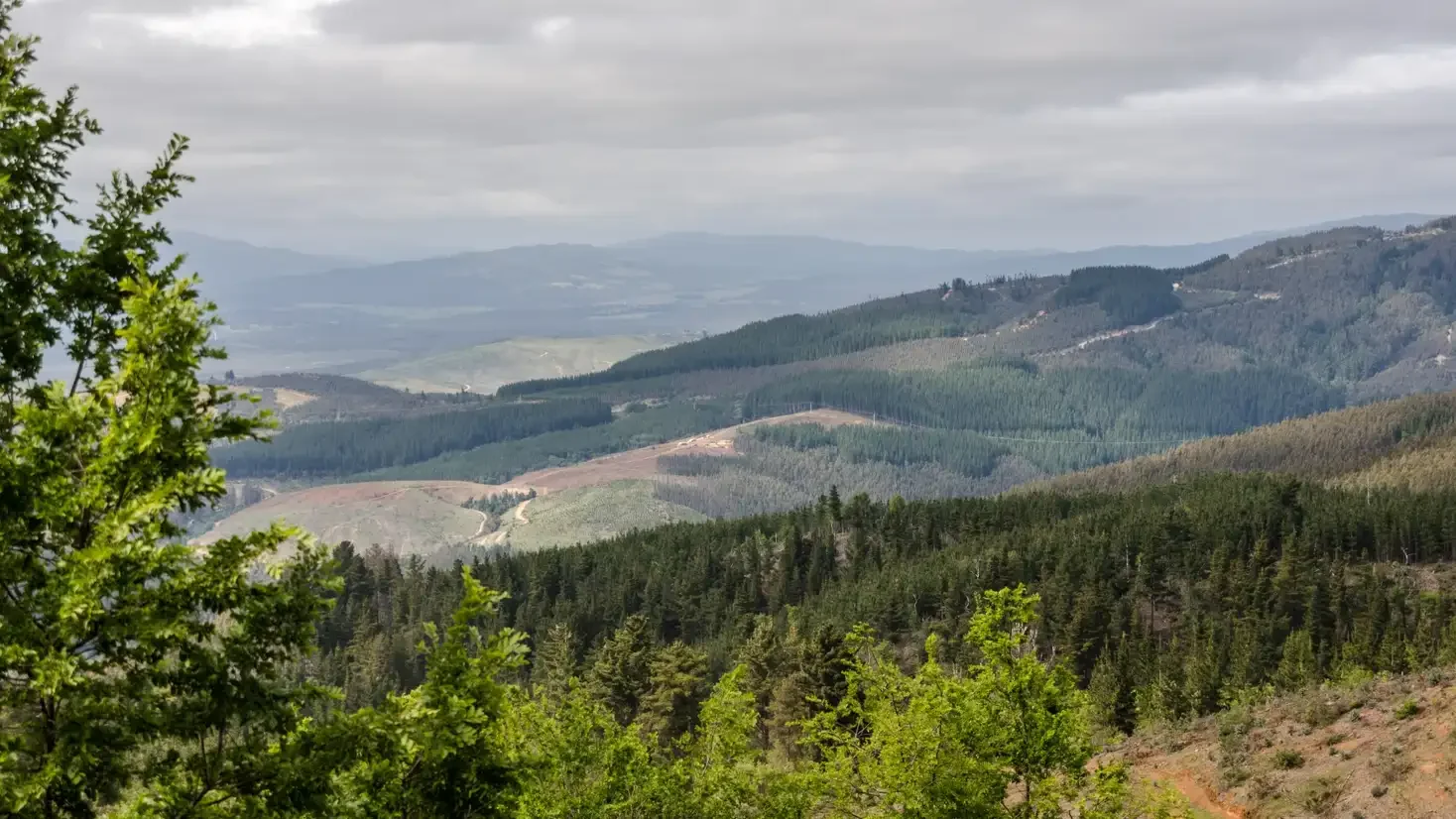A landscape of rolling hills and mountains covered in green forests under a cloudy sky.