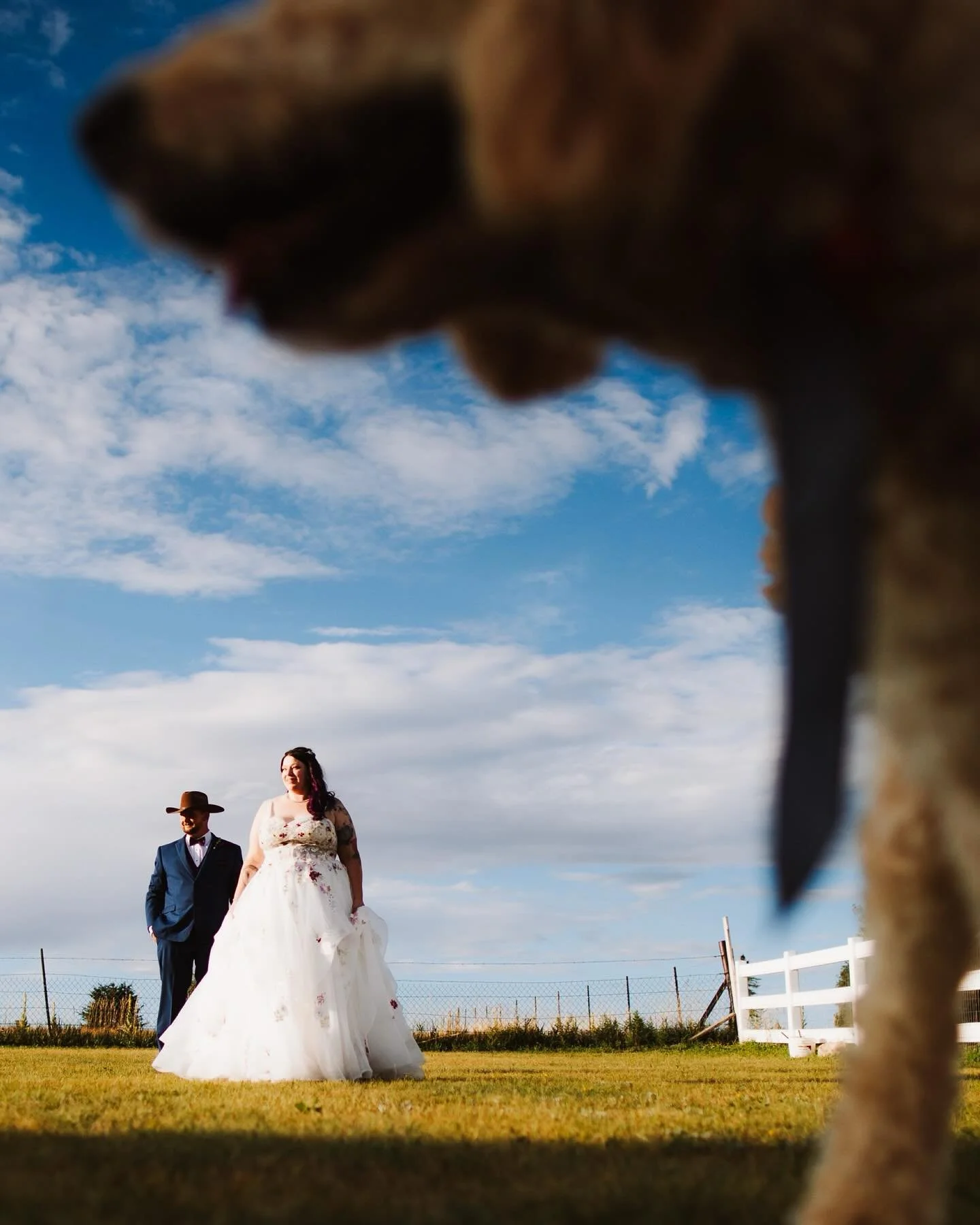 Taking your venue budget and investing it into your own property for a massive party has to be the best idea I&rsquo;ve heard all year. 
.
#ColoradoSpringsWedding
#ColoradoWeddingPhotographer
#ColoradoSpringsPhotographer
#RockyMountainWedding
#PikesP