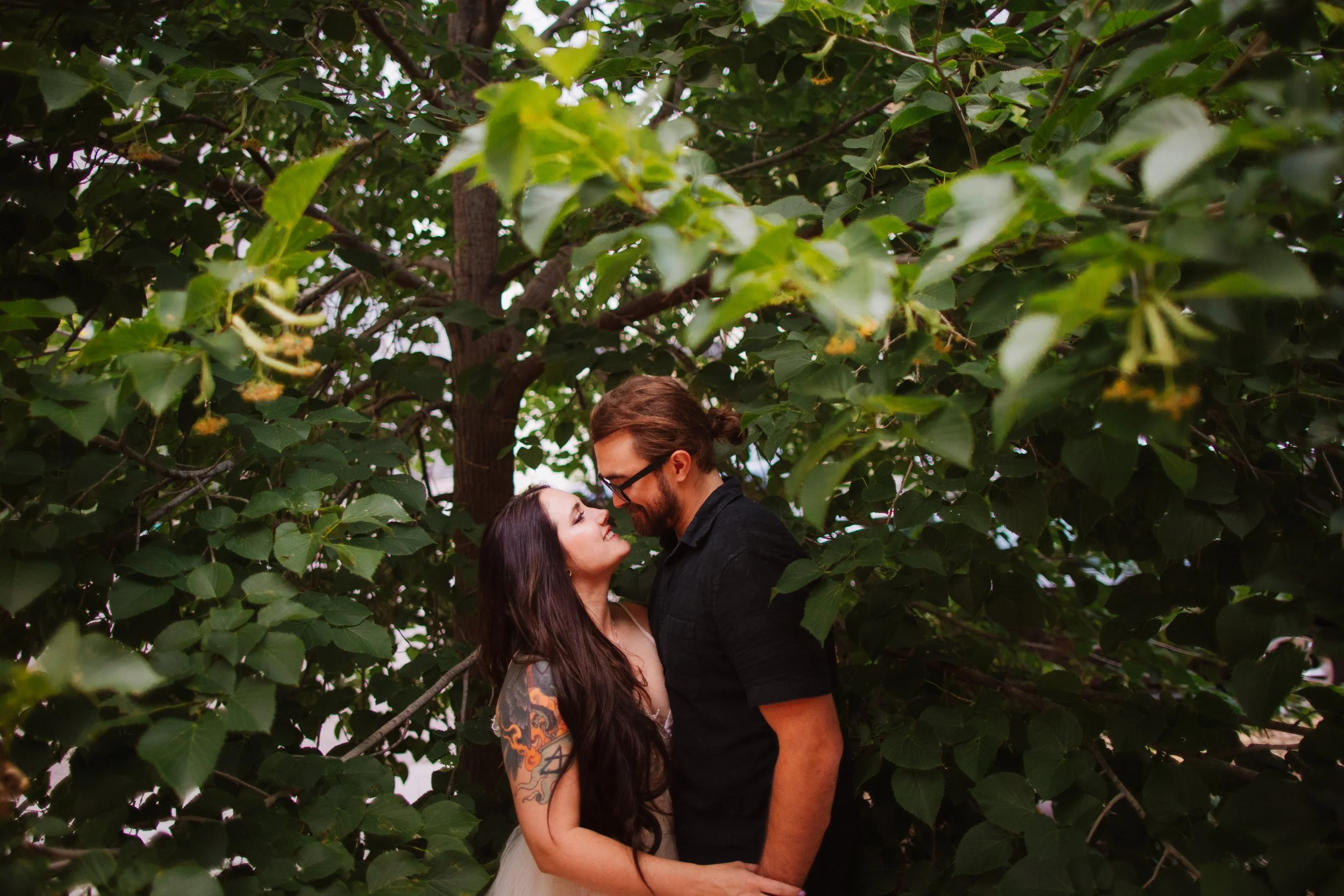 theyre hiding in a tree
