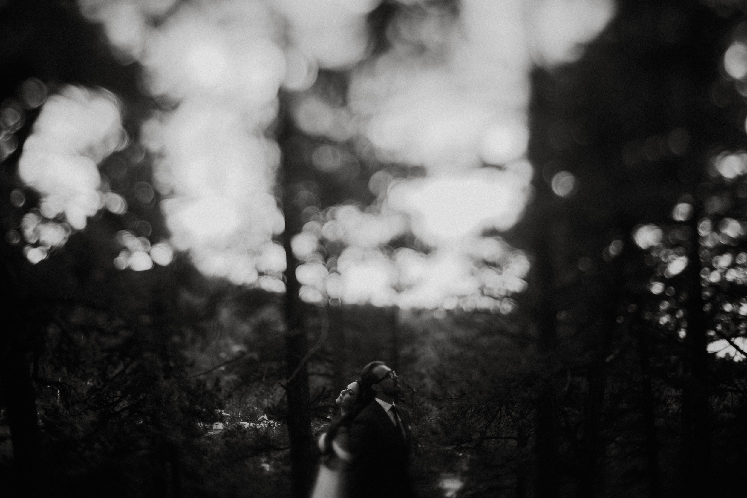 free lensing portrait of a couple in the forest in black and white 