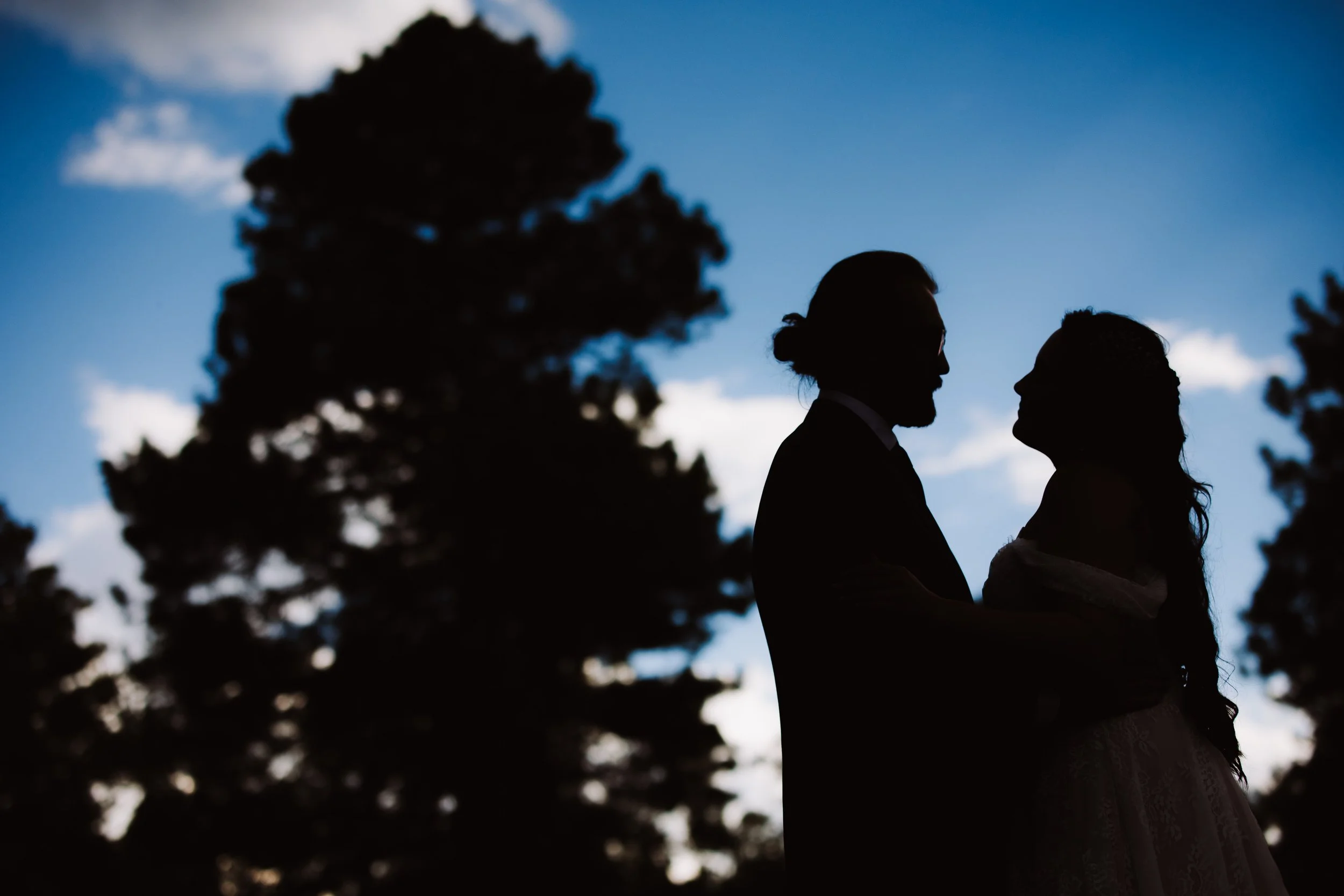 a silhouette in the trees 