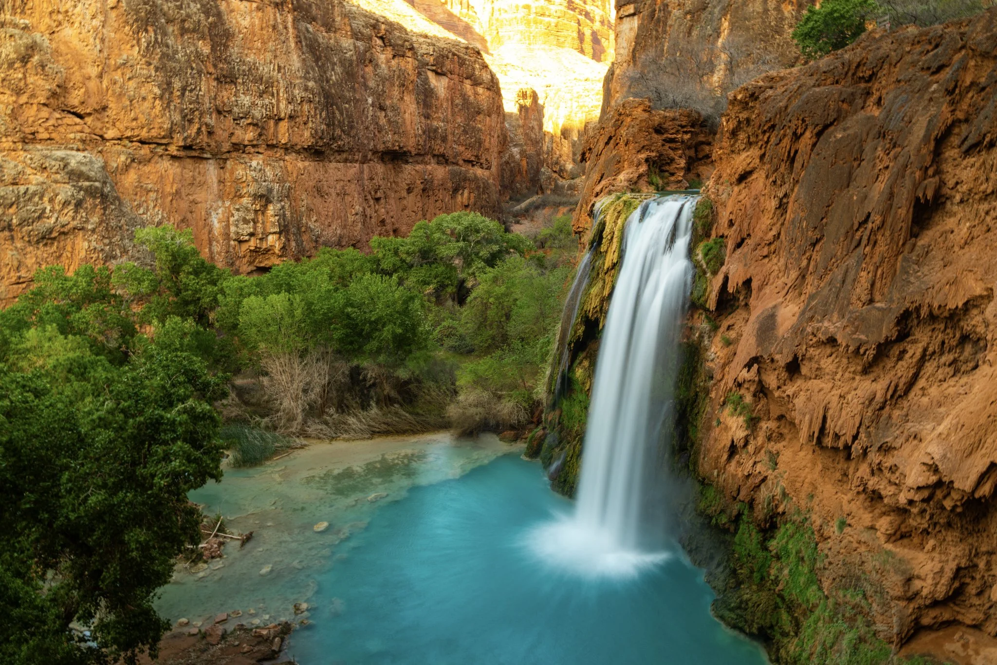 A wide view of Havasu Falls cascading into a turquoise pool, surrounded by red canyon walls and lush green trees in the remote Havasupai reservation