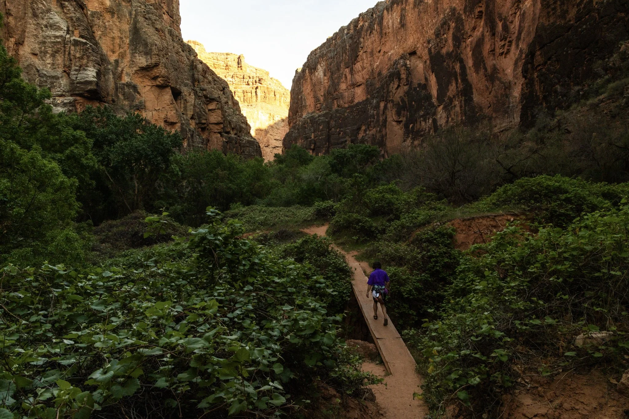 Trail to Beaver Falls-2-2.jpg