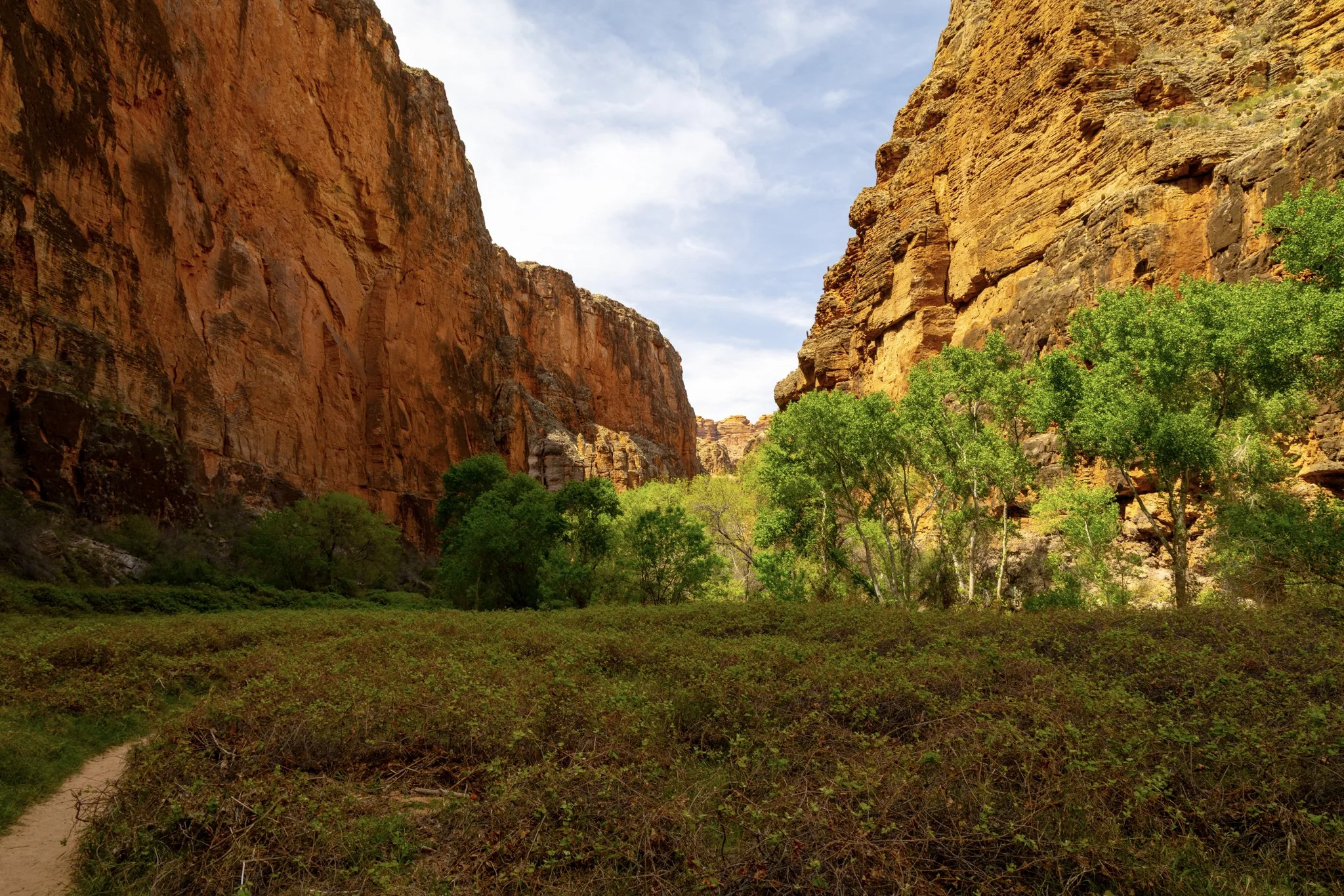 Trail to Beaver Falls-2.jpg