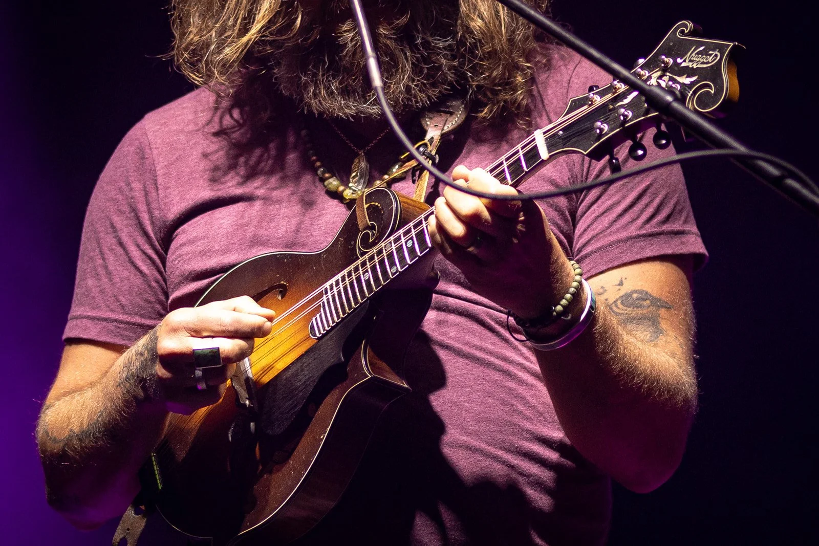 Sweetwater 420 Fest-179_websize.jpg