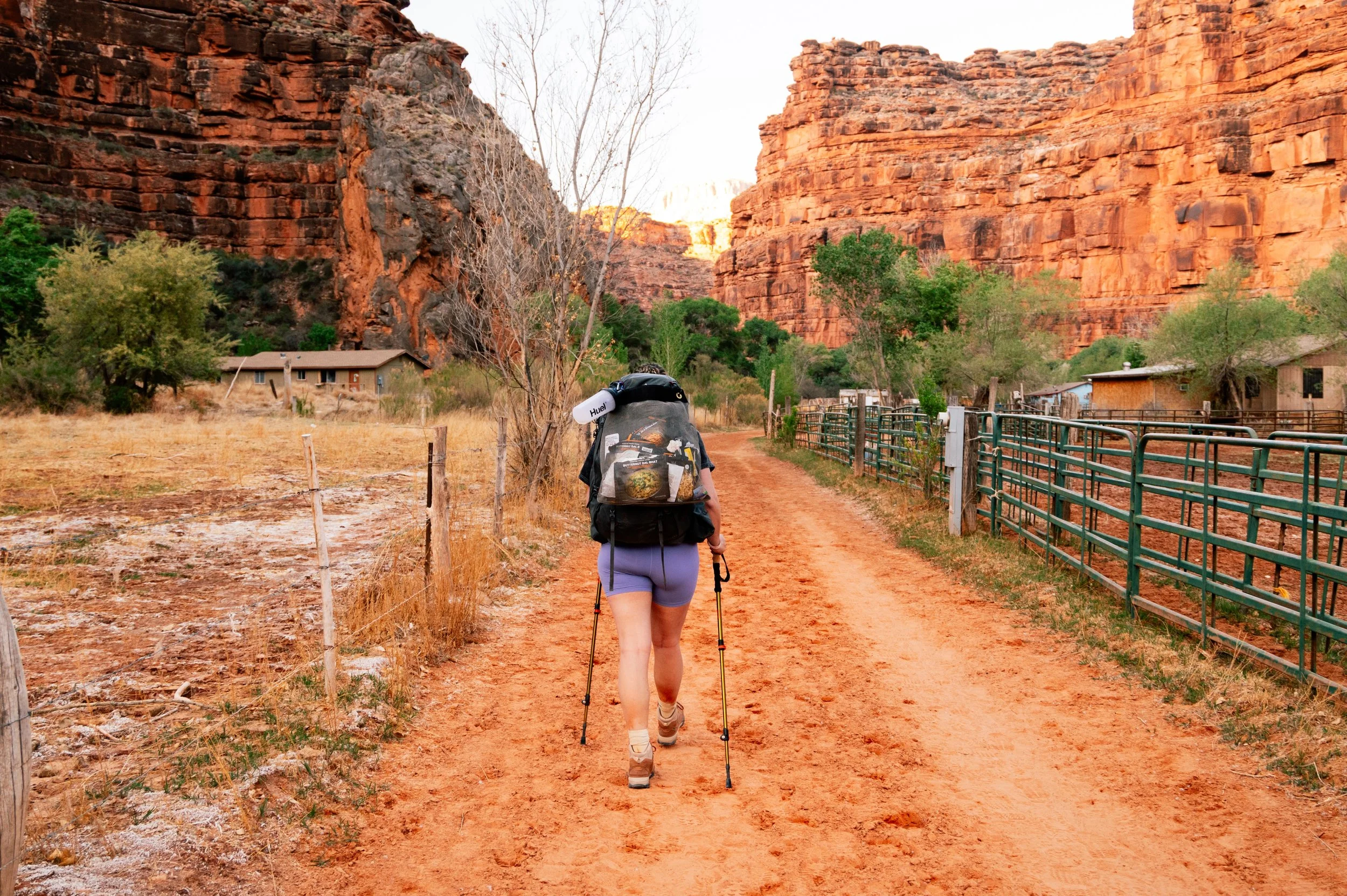 Hiker with large backpack and trekking poles walking into Supai Village on a red dirt trail, surrounded by towering canyon walls and small ranch homes.