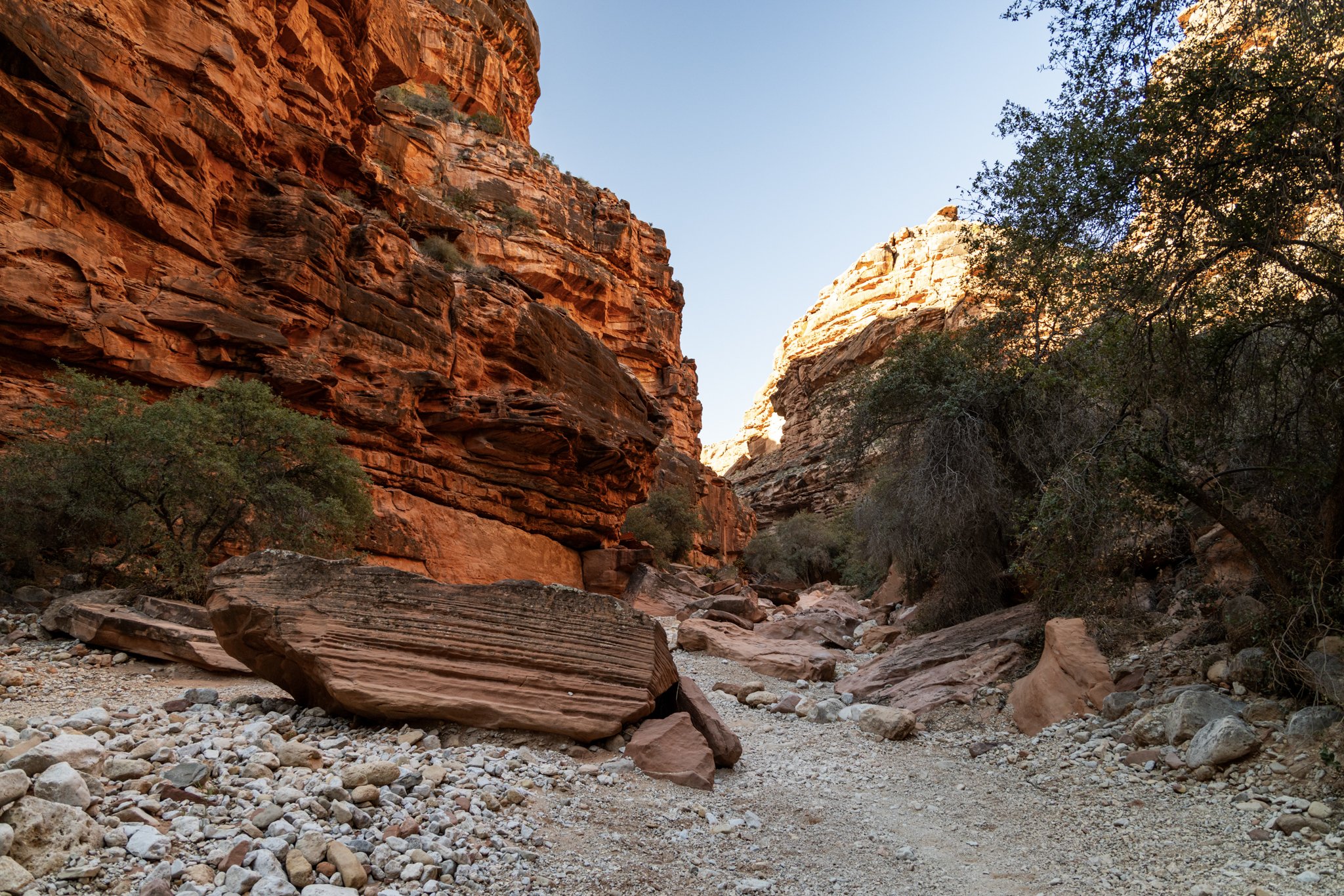 Hiker walking along a dirt trail through the red rock cliffs of Havasu Canyon, surrounded by dramatic sandstone formations and desert vegetation near Supai Village, Arizona.