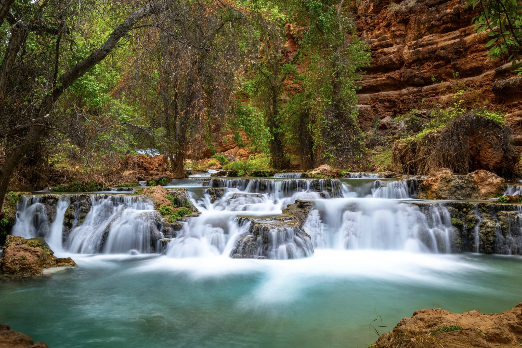 A multi-tiered turquoise waterfall cascades over mossy rocks surrounded by lush greenery and red canyon walls in Beaver Falls, located in the Havasupai region of the Grand Canyon.