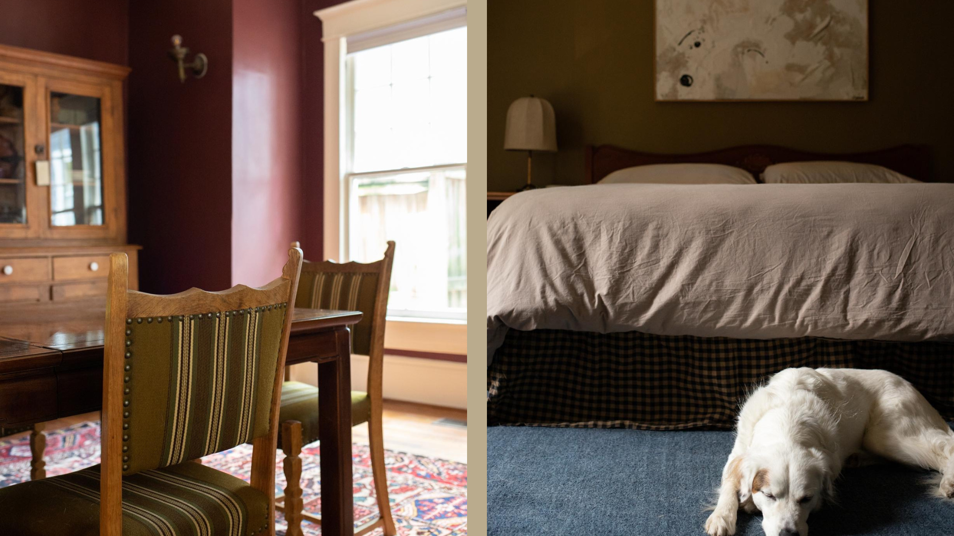 Split image showing a moody dining room with deep burgundy walls, vintage wooden furniture and striped upholstered chairs, alongside a bedroom with olive green walls, cream bedding, plaid bed skirt and a golden retriever resting on blue carpet