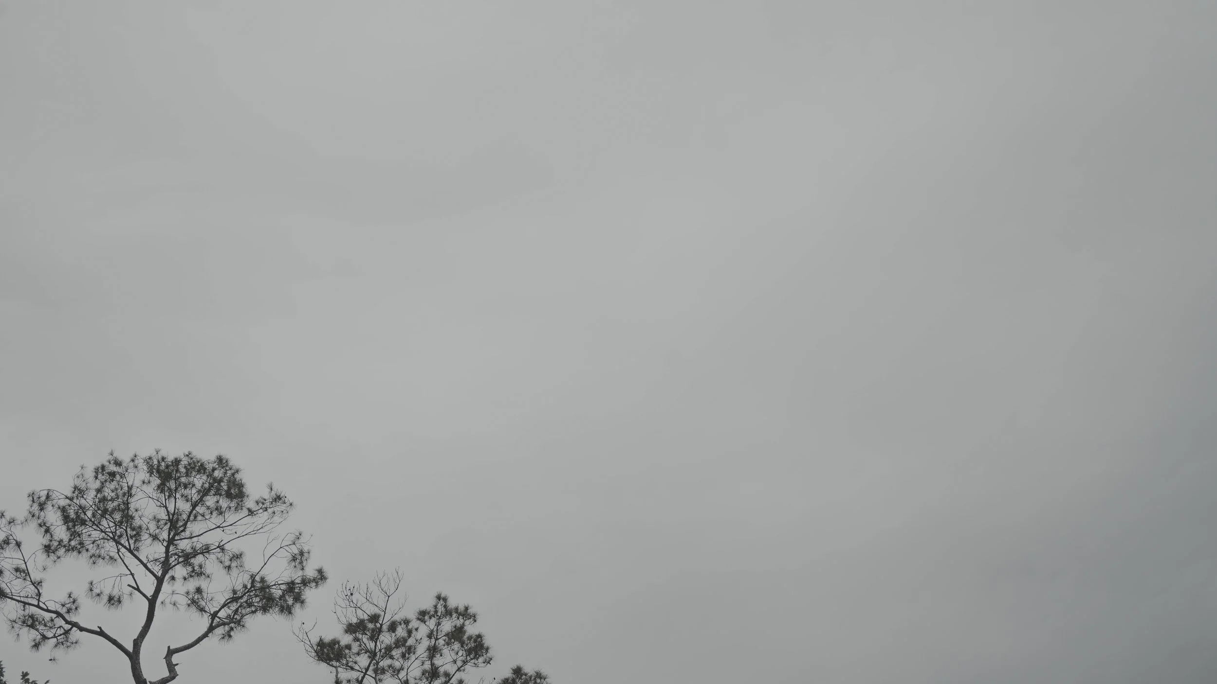 DSC04679.jpg