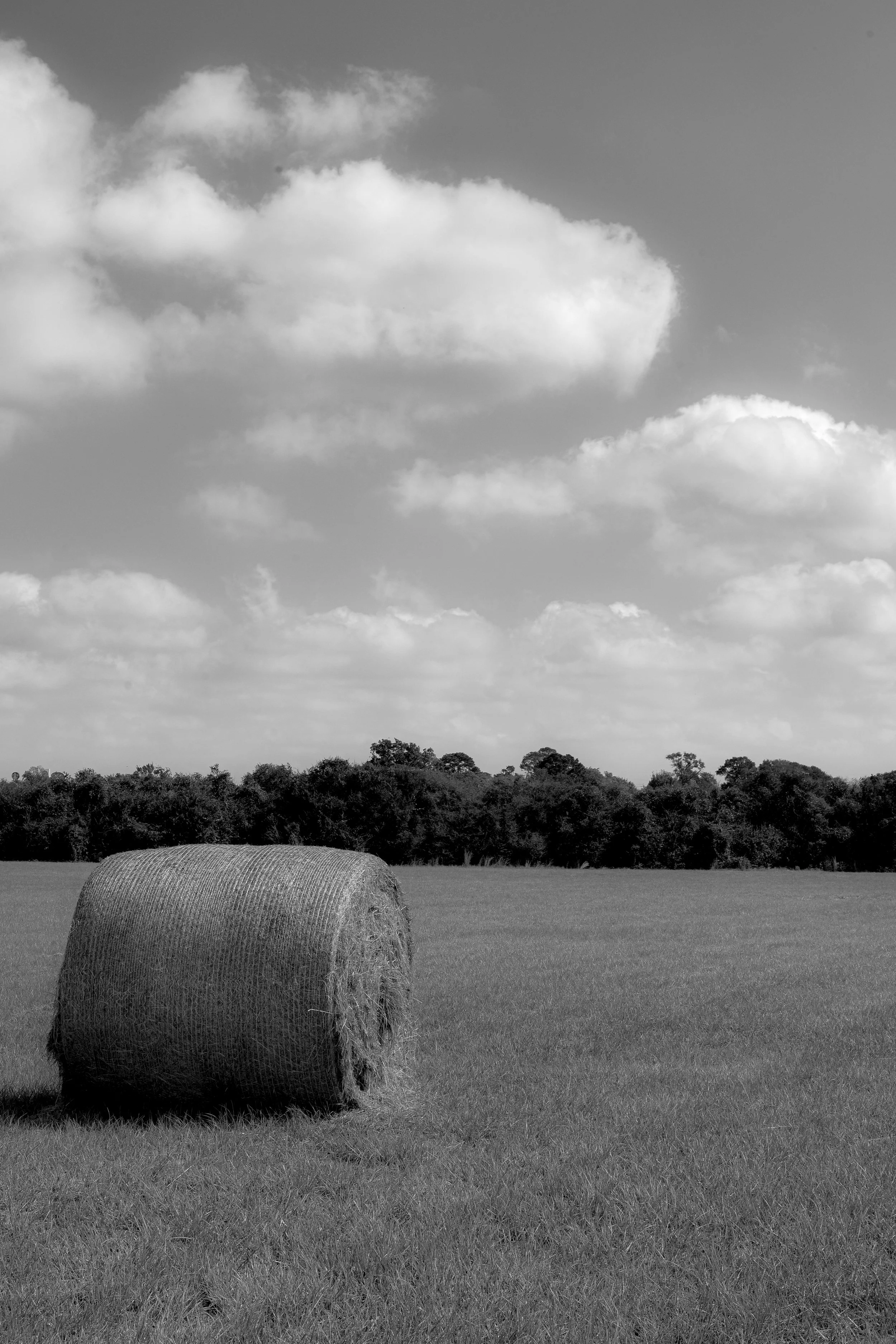 P1023479 (1).jpg