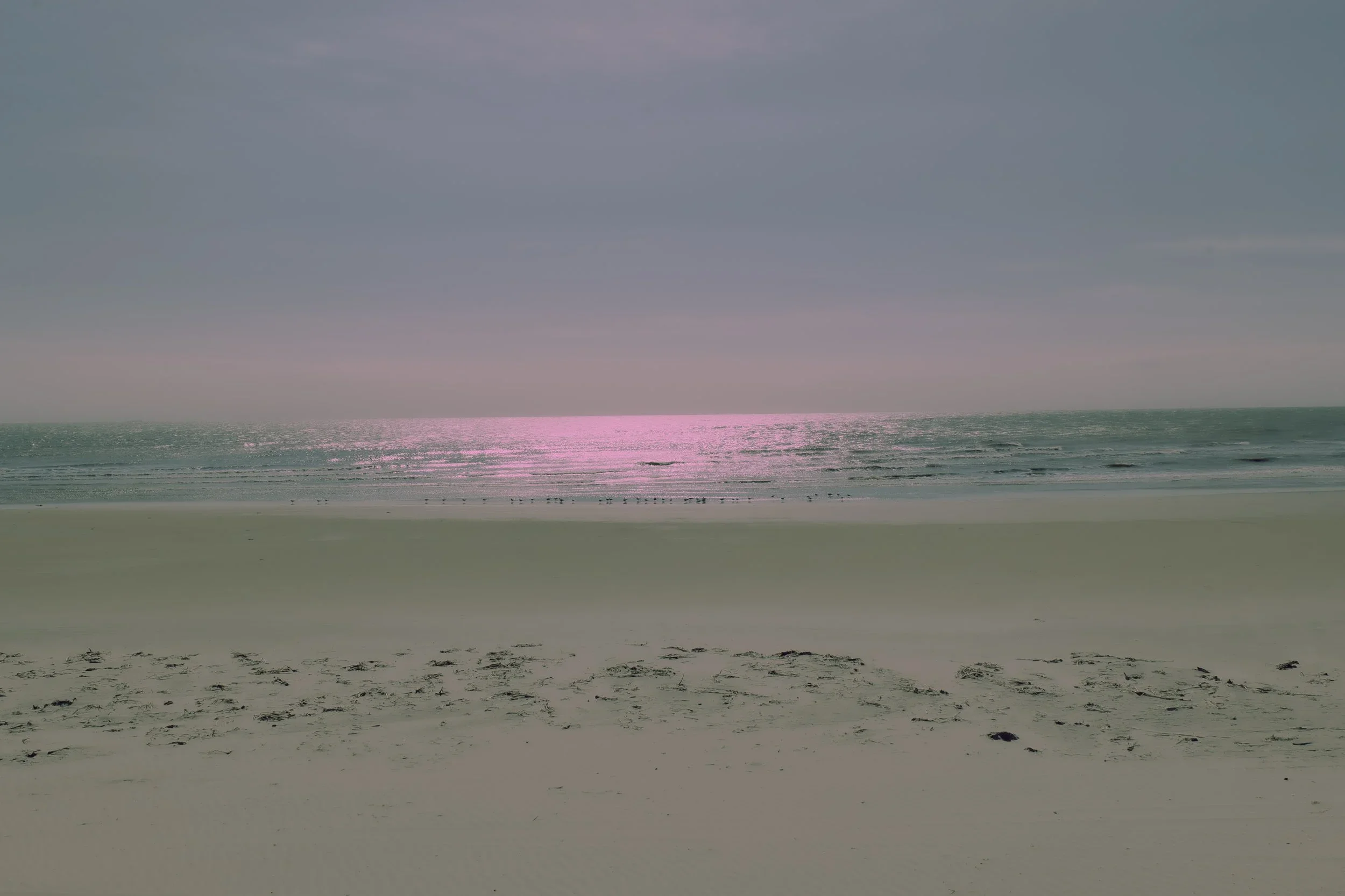 nature-23.webp