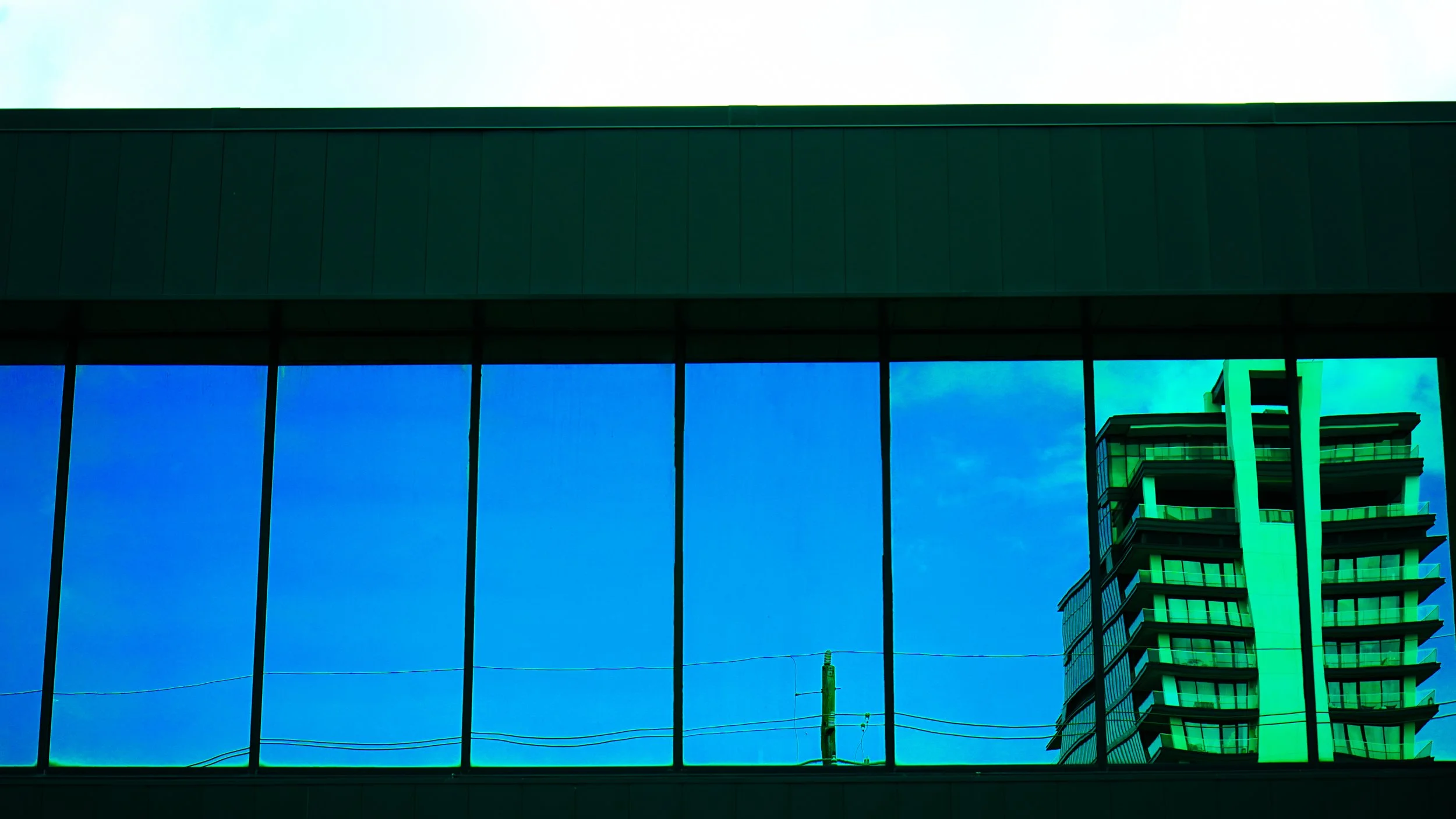 DSC08477.jpg