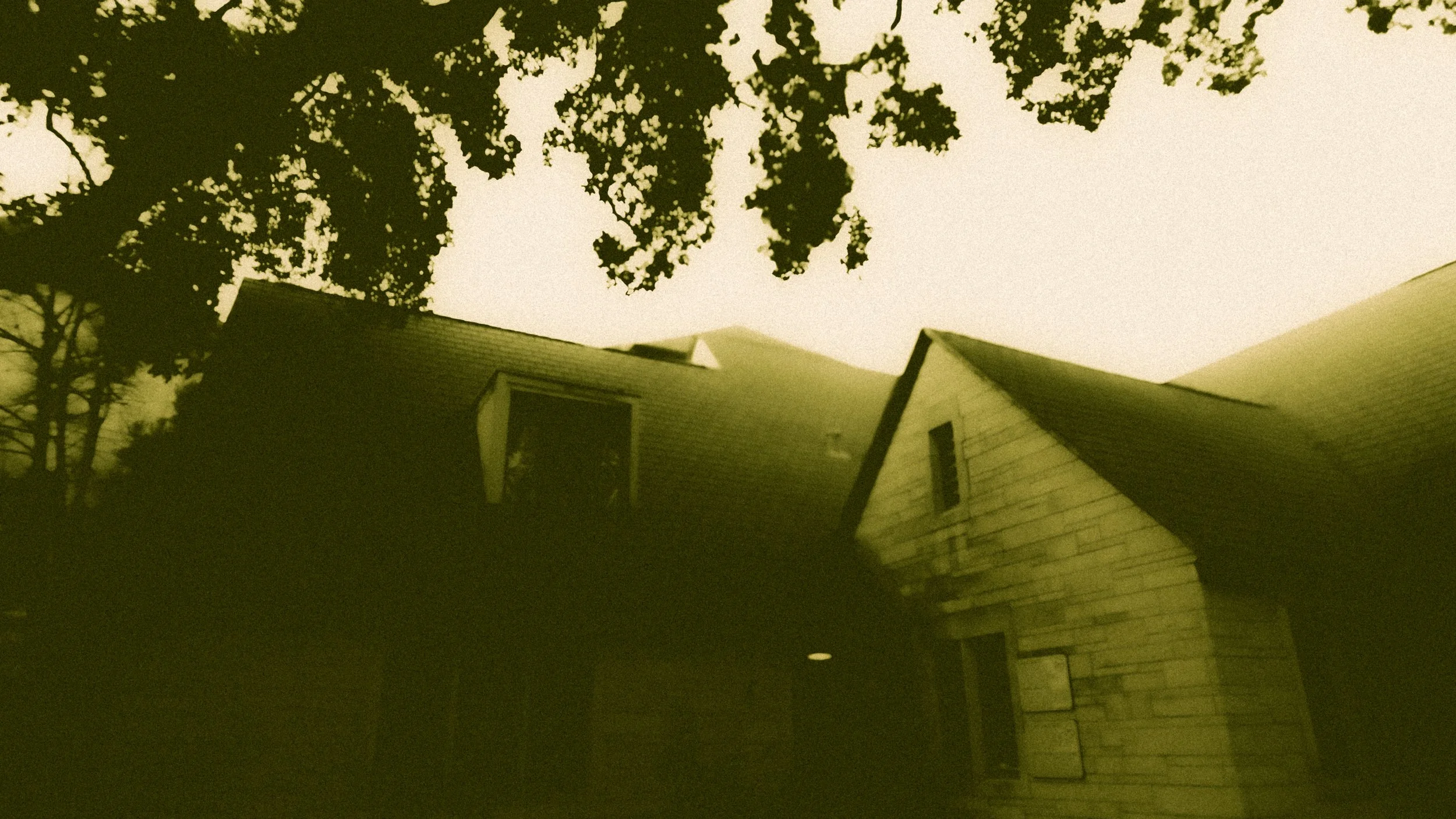 DSCF1566.jpg
