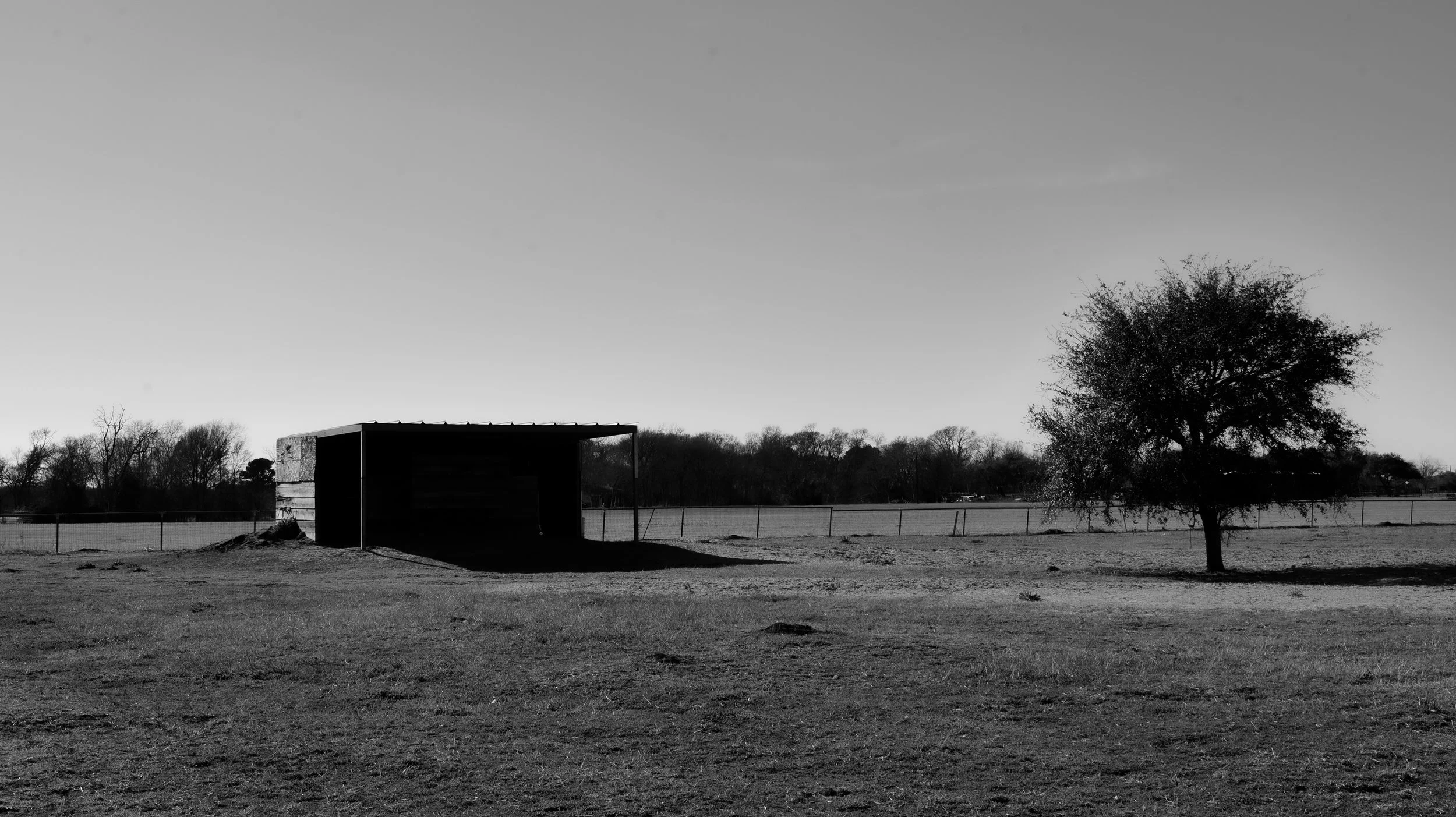 P1036135.jpg