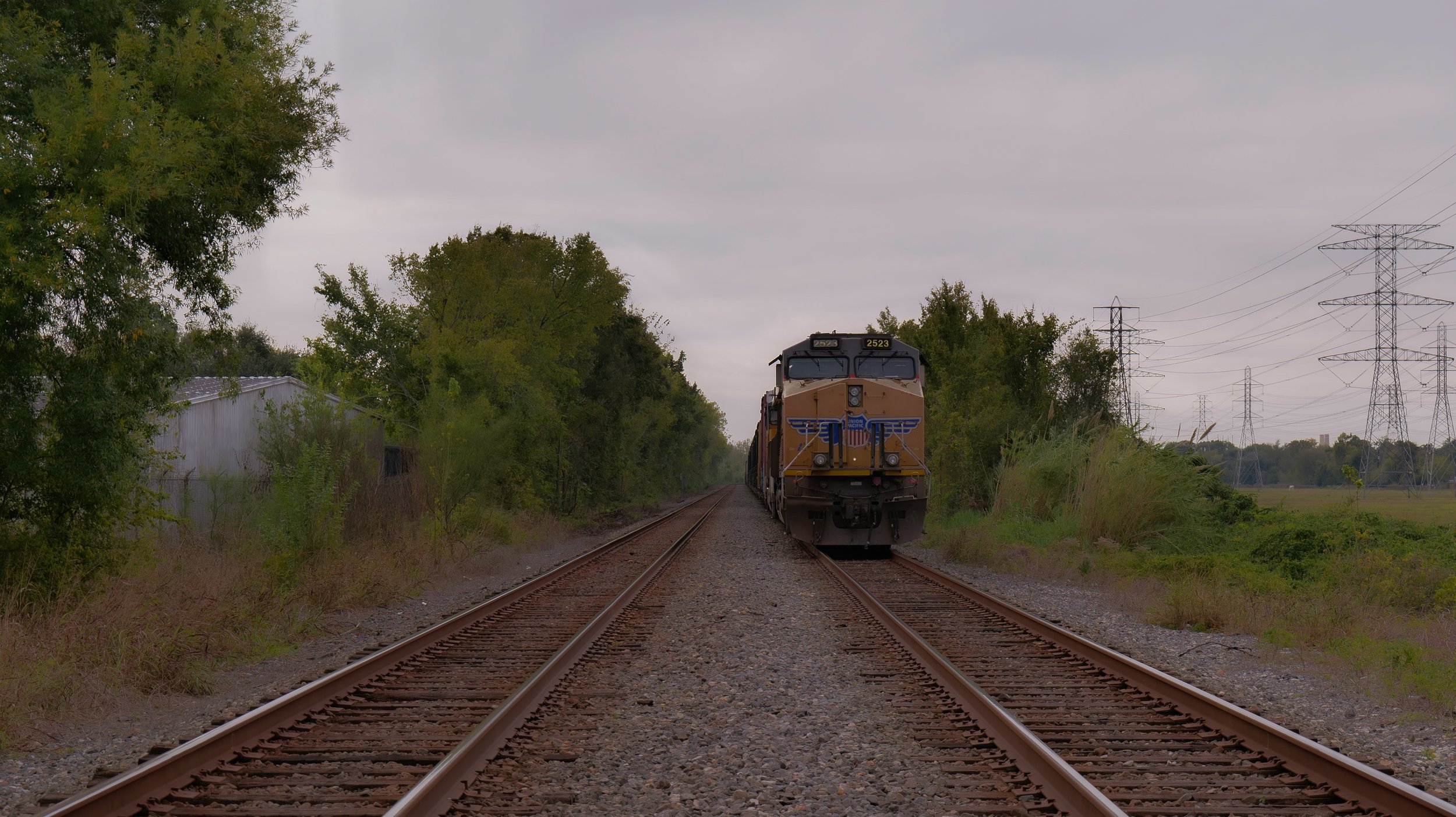 P1024635.jpg