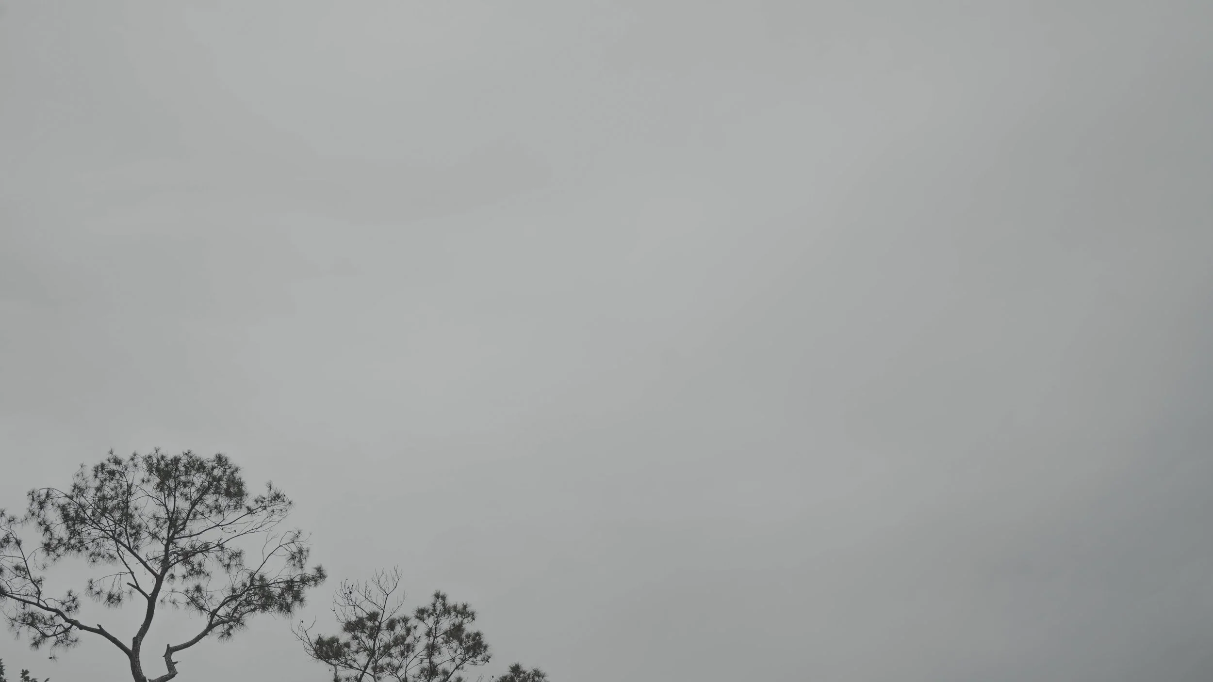 nature-09.webp