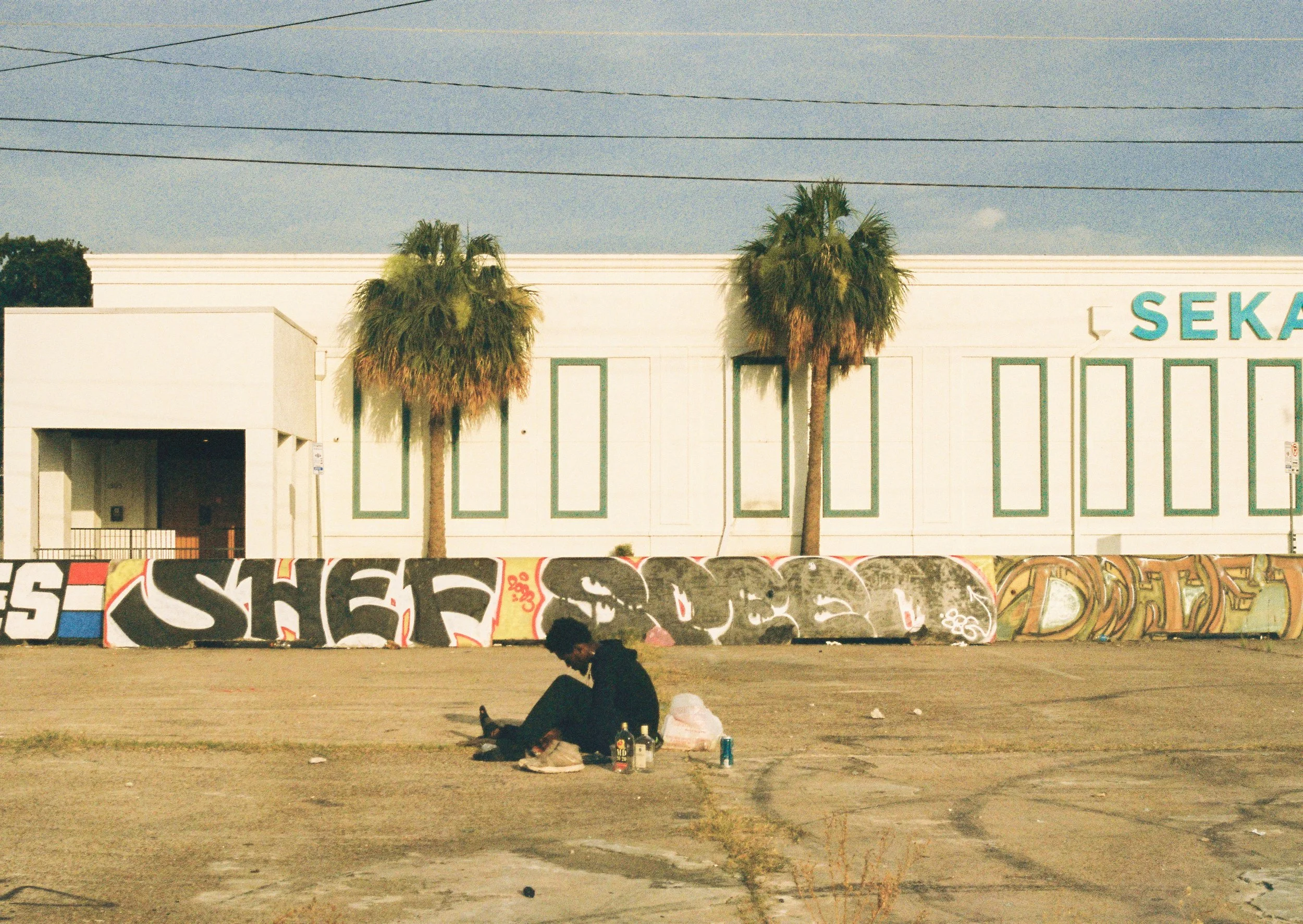 A man sitting underneath two palm trees in front of a white building with graffiti on the wall, in an urban area on a sunny day.