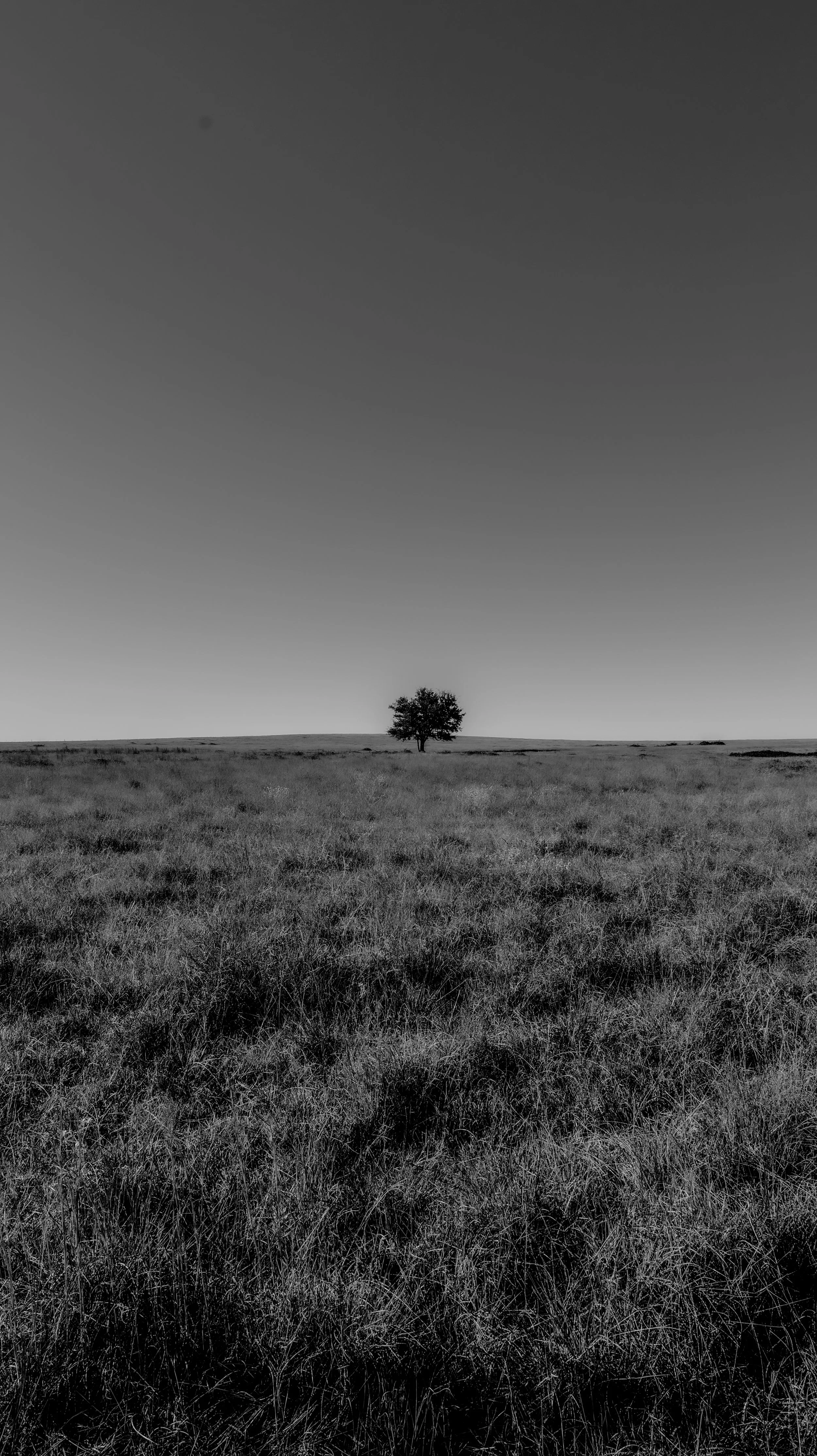 P1023586.jpg