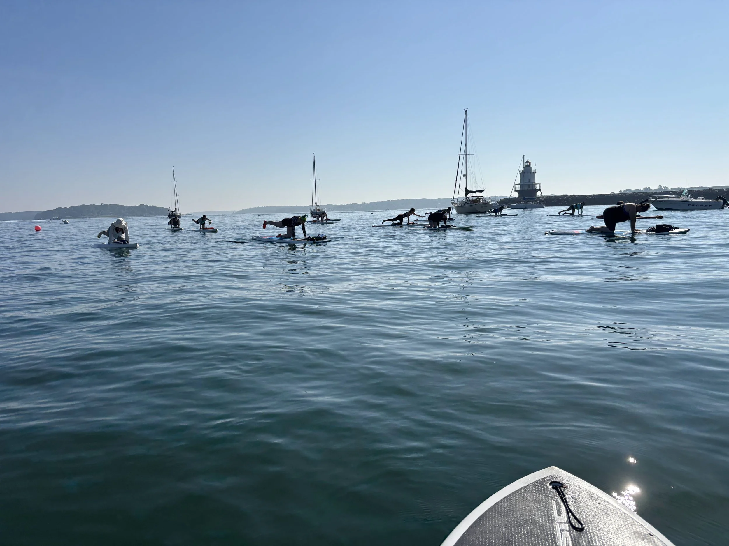 IMG_0310.jpeg