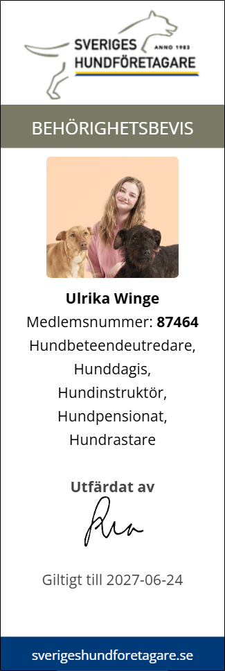 Örebro Hundträning bevis Sveriges Hundföretagare