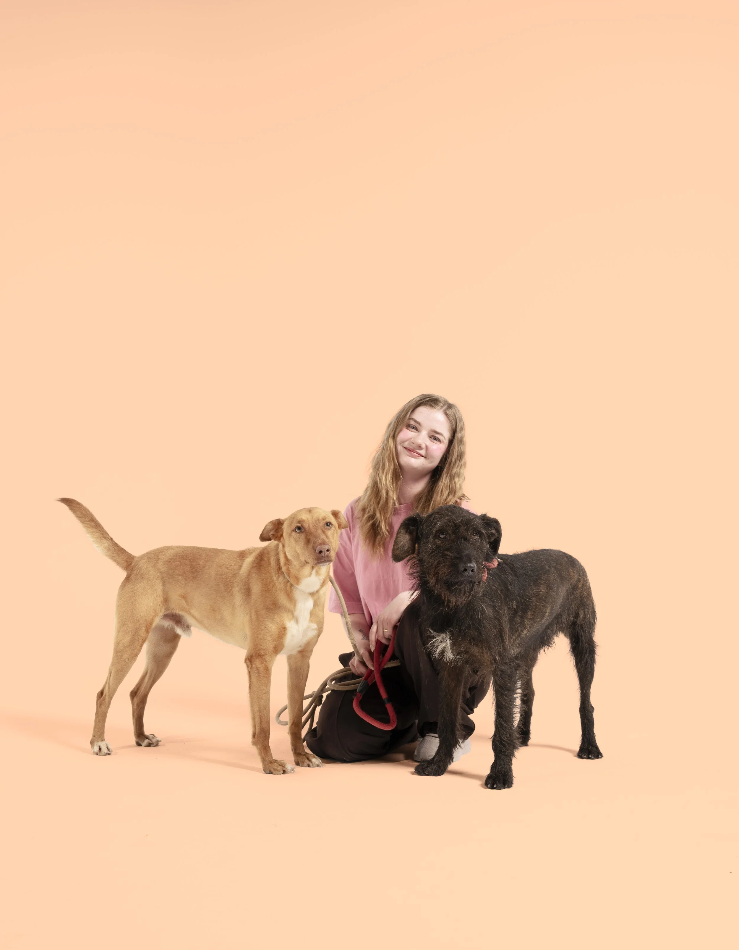 hundtränare ulrika winge på örebro hunsträning