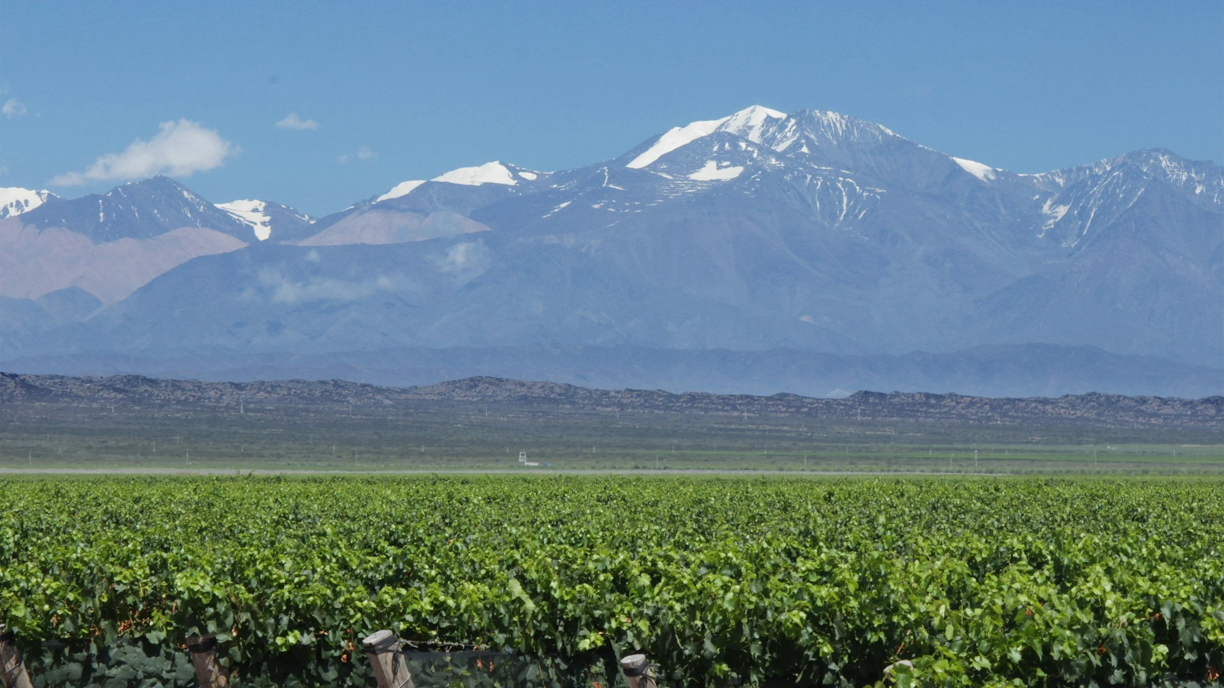 Argentina Wine Country