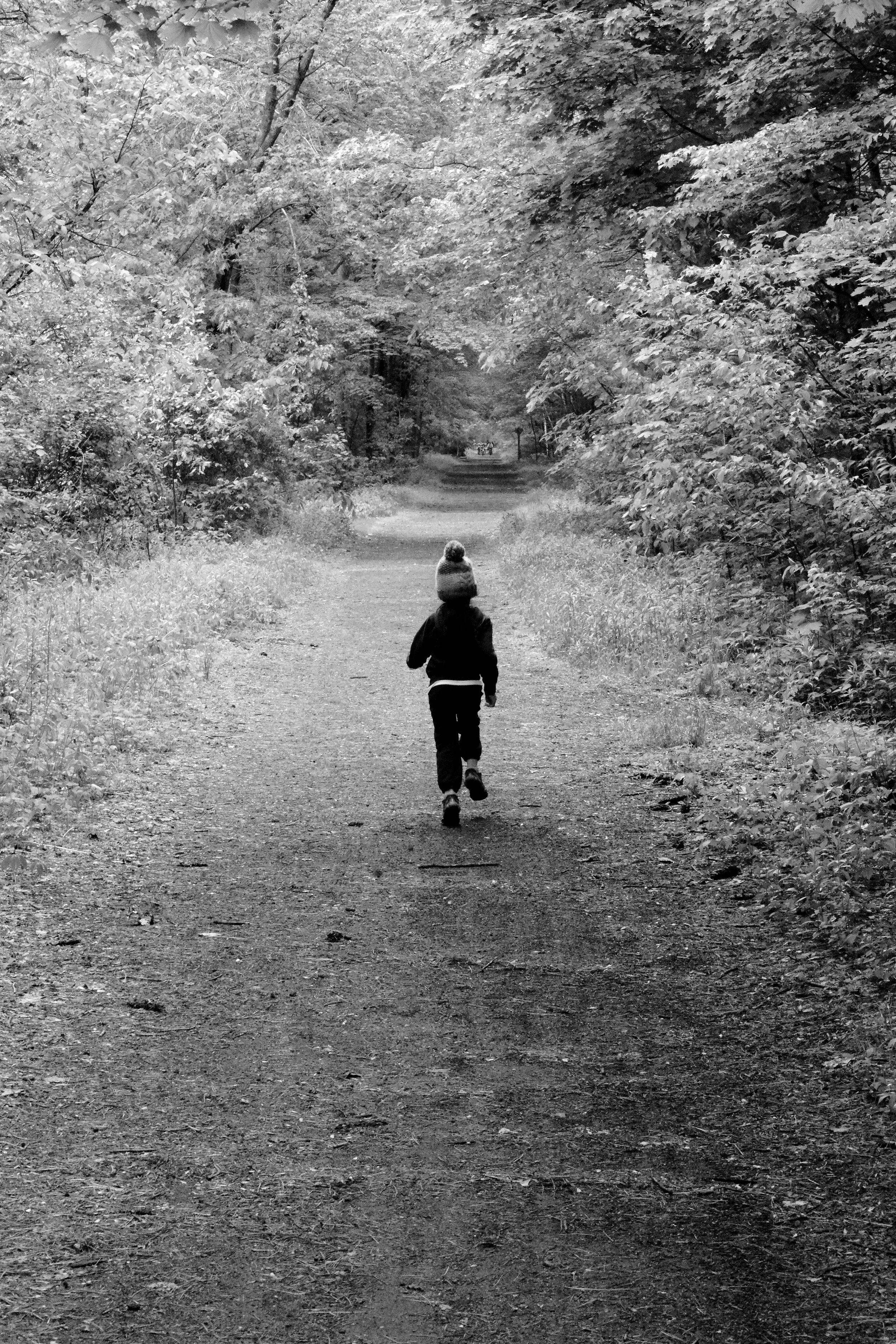 A child walking alone on a dirt trail through a wooded area with trees and bushes on both sides.