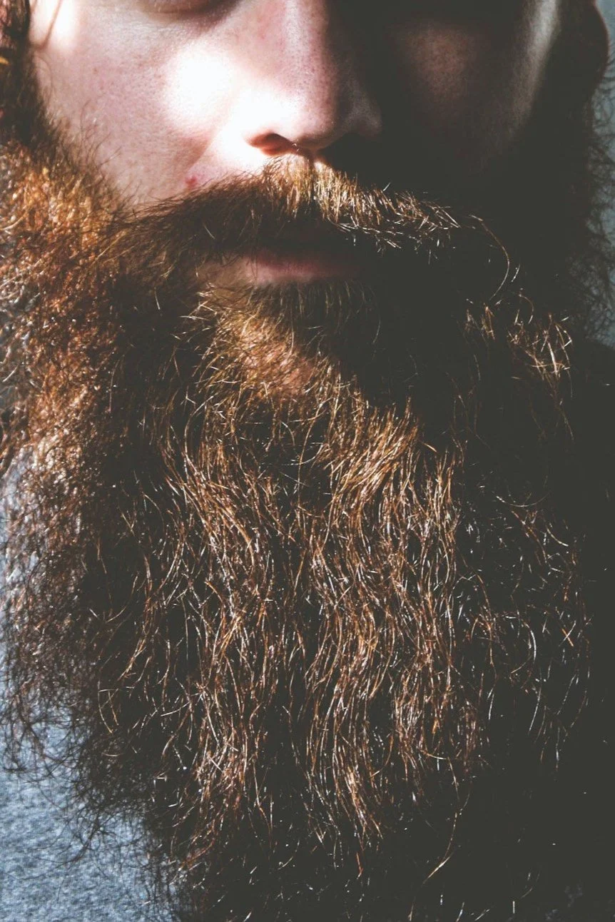 The Hobbit, Chapter 2: Beards