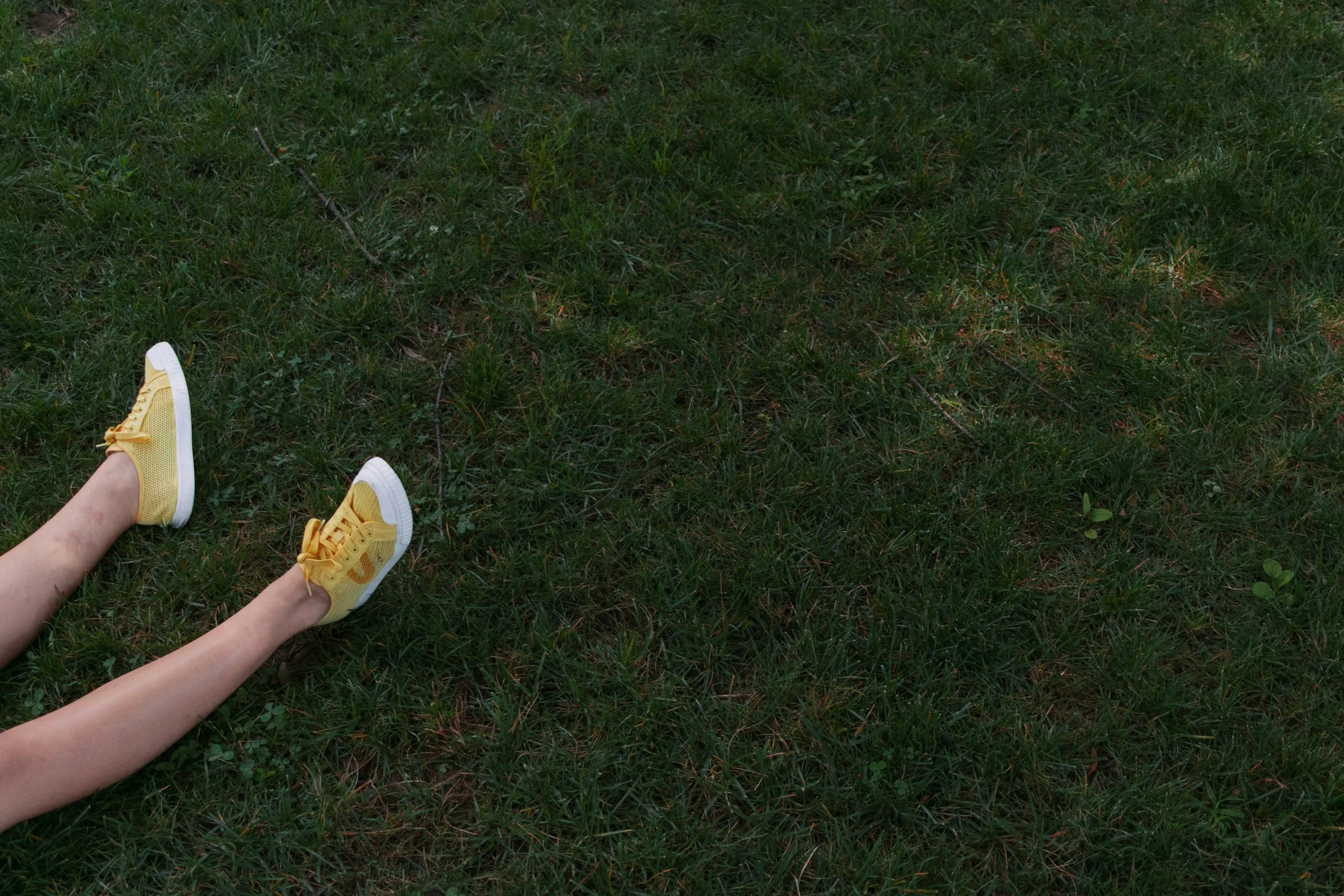 Charlotte’s Web, Chapter 1: Tennis Shoes