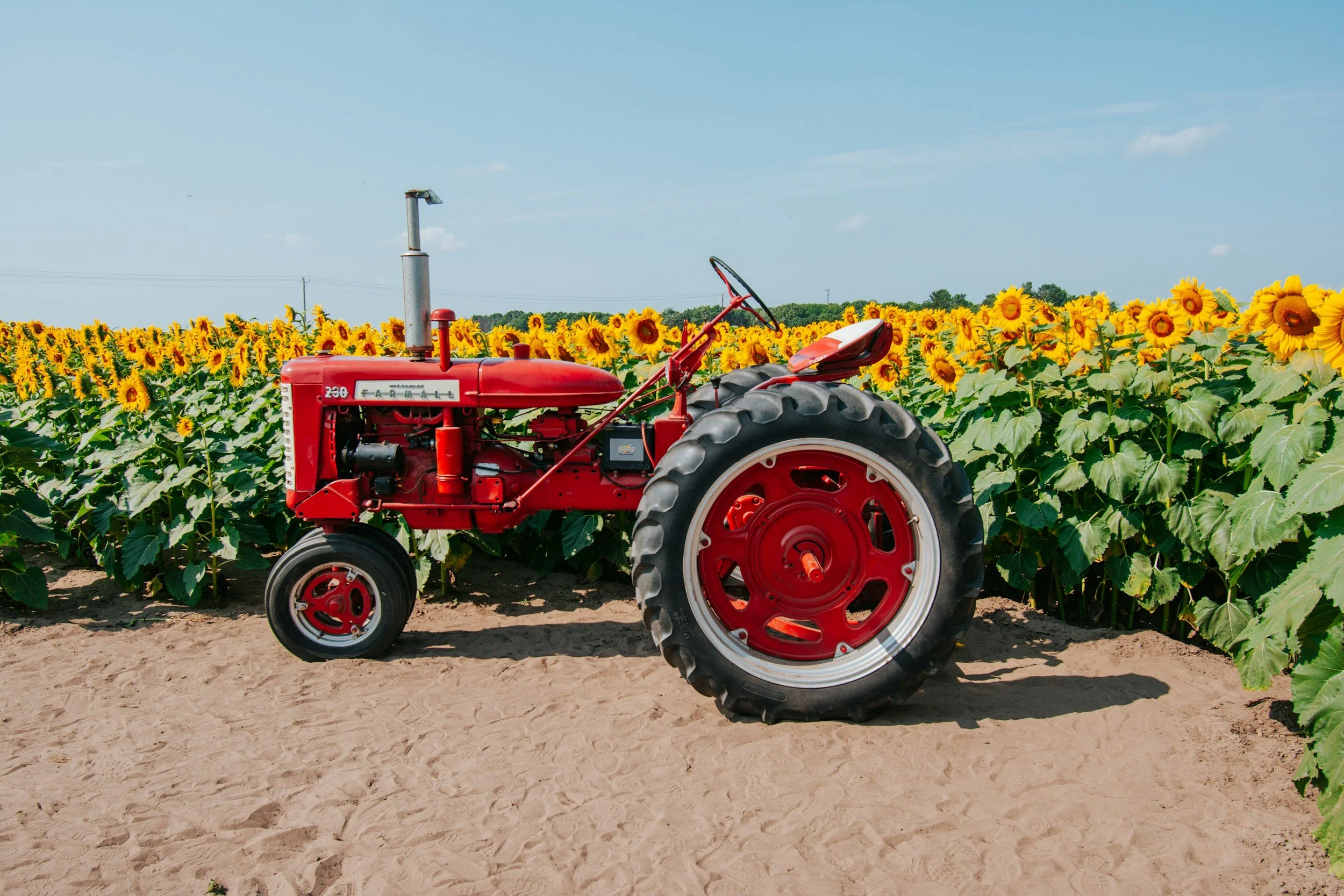 Charlotte’s Web, Chapter 3: Farm Tools