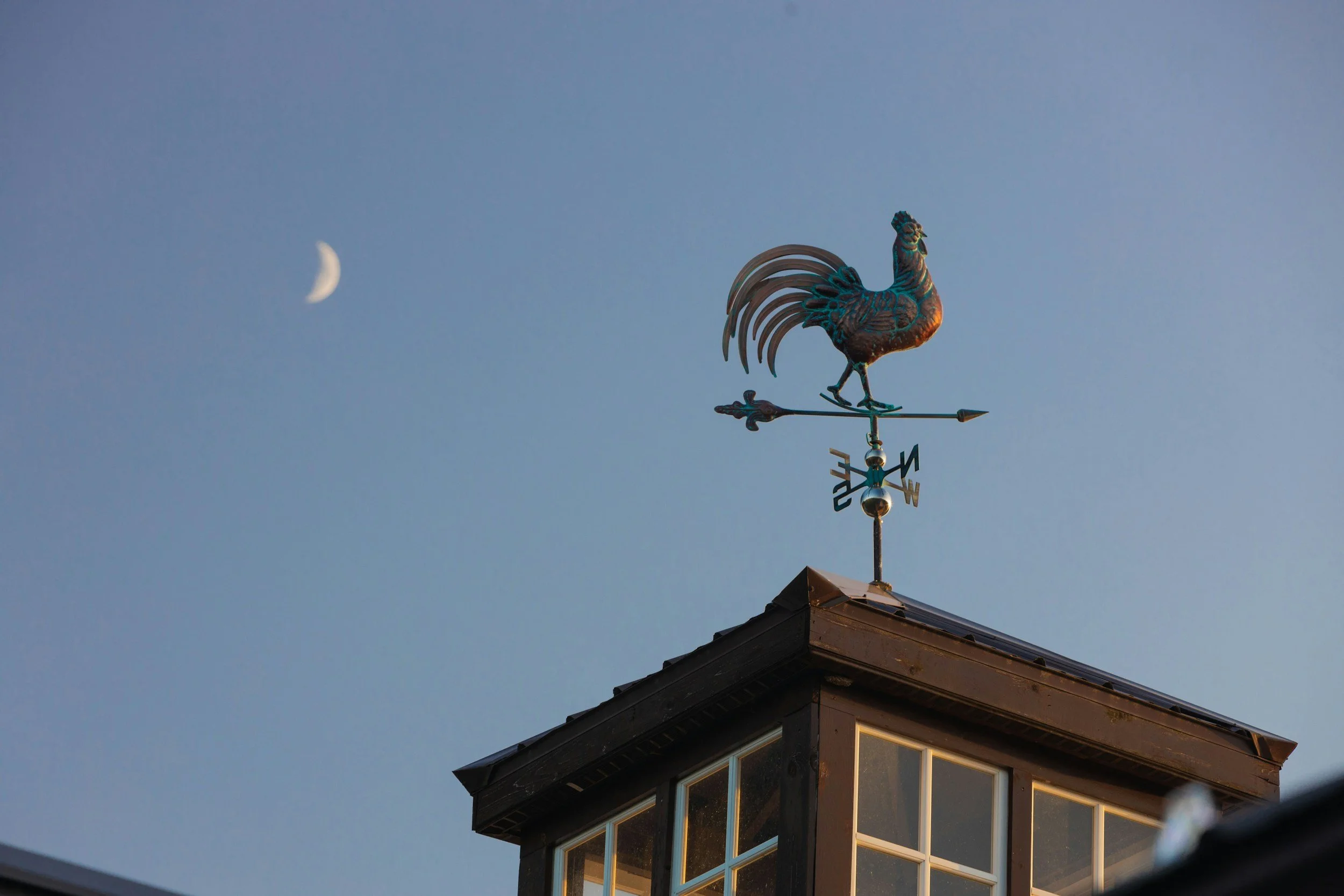 Charlotte’s Web, Chapter 5: Weathervanes