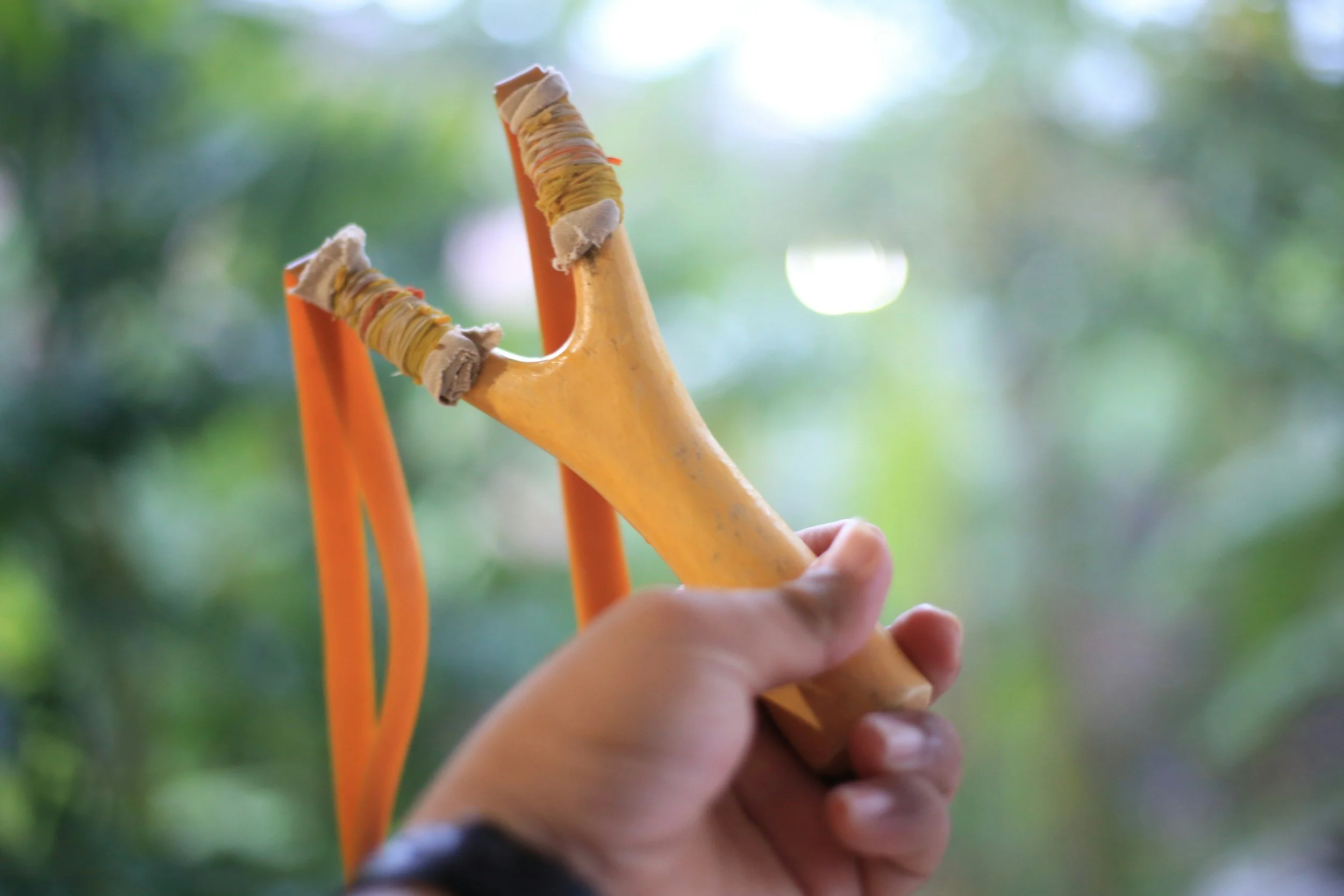Charlotte’s Web, Chapter 8: Sling shots