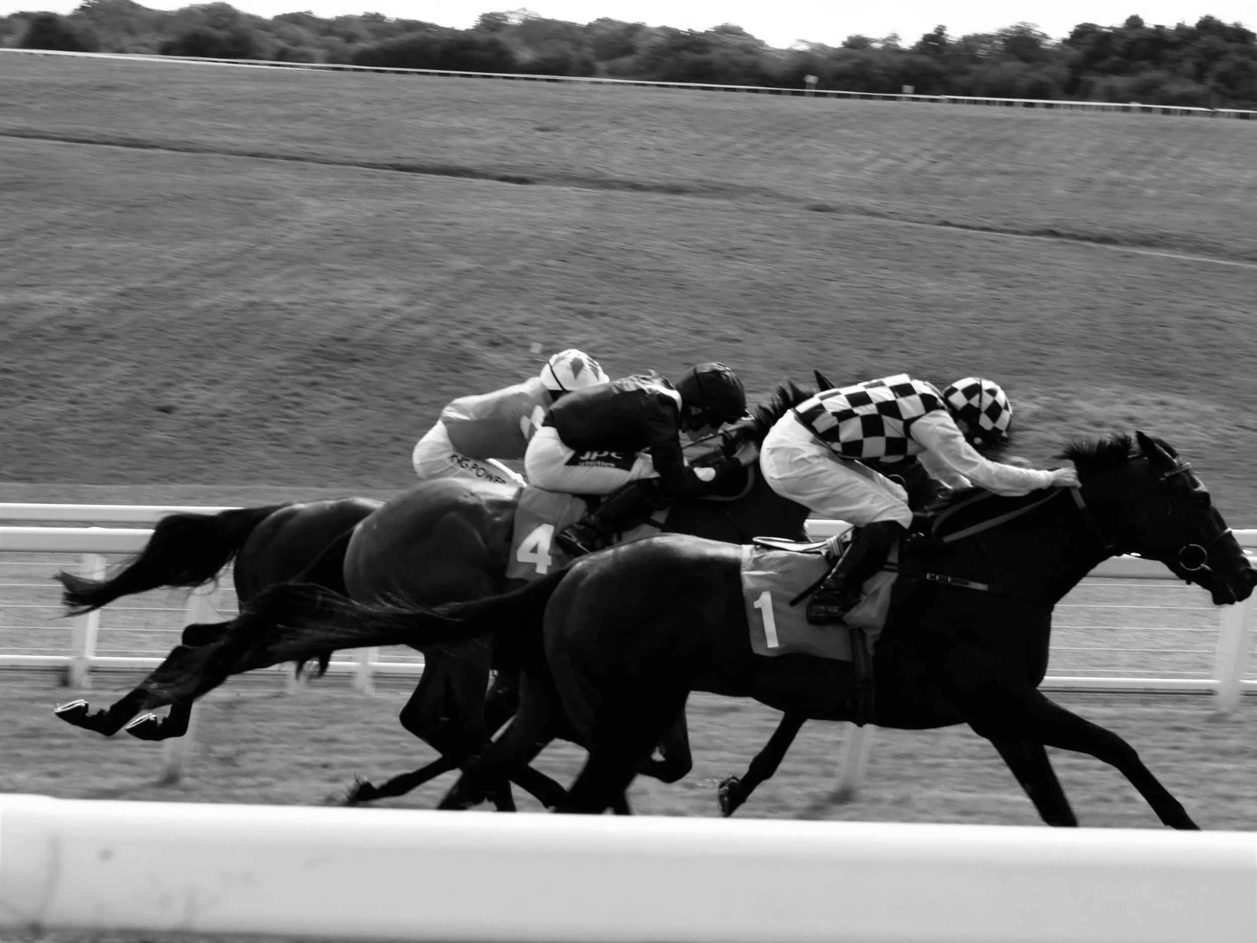 Charlotte’s Web, Chapter 21: Horse Racing