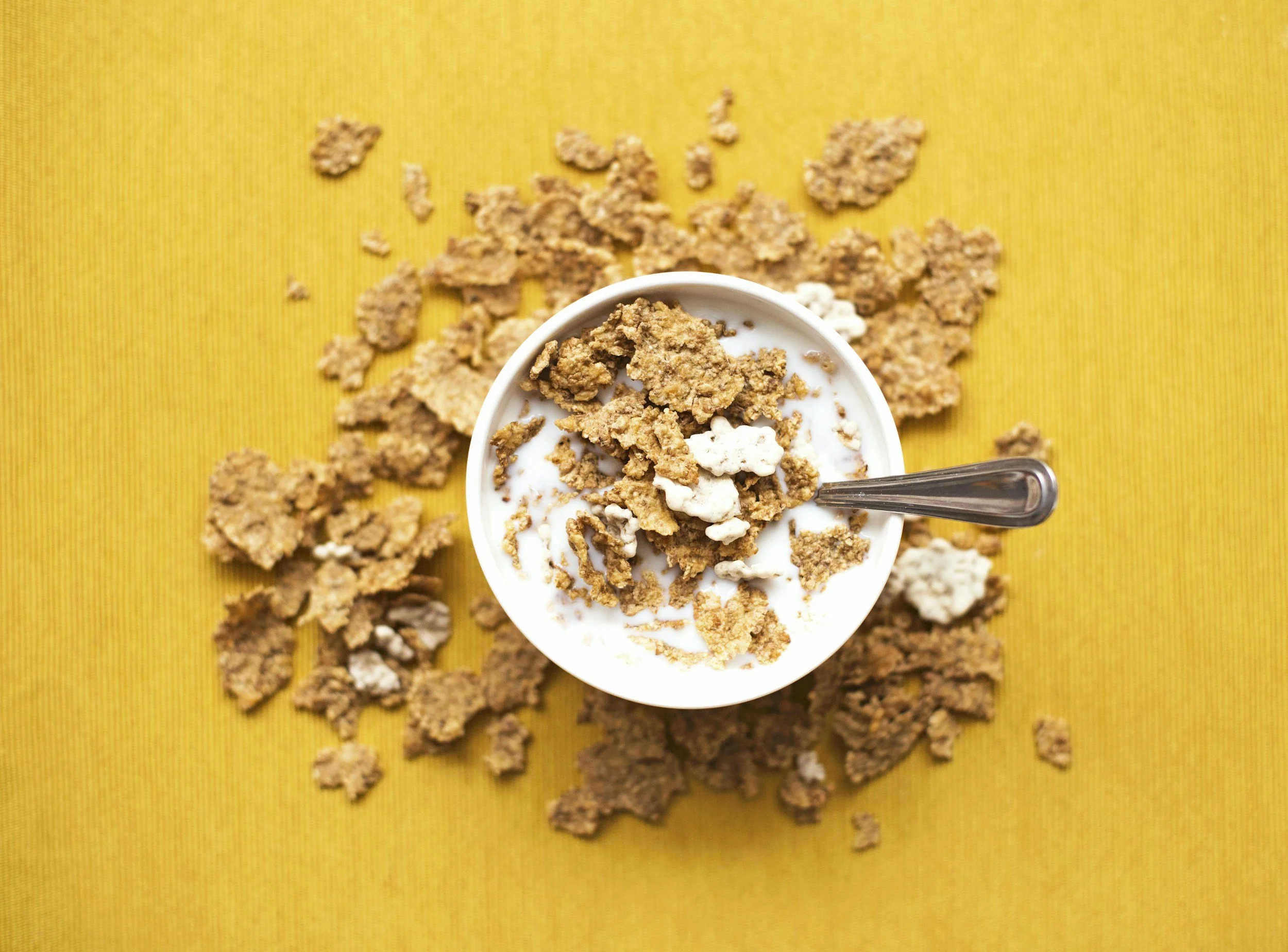 Charlotte’s Web, Chapter 14: Cereal