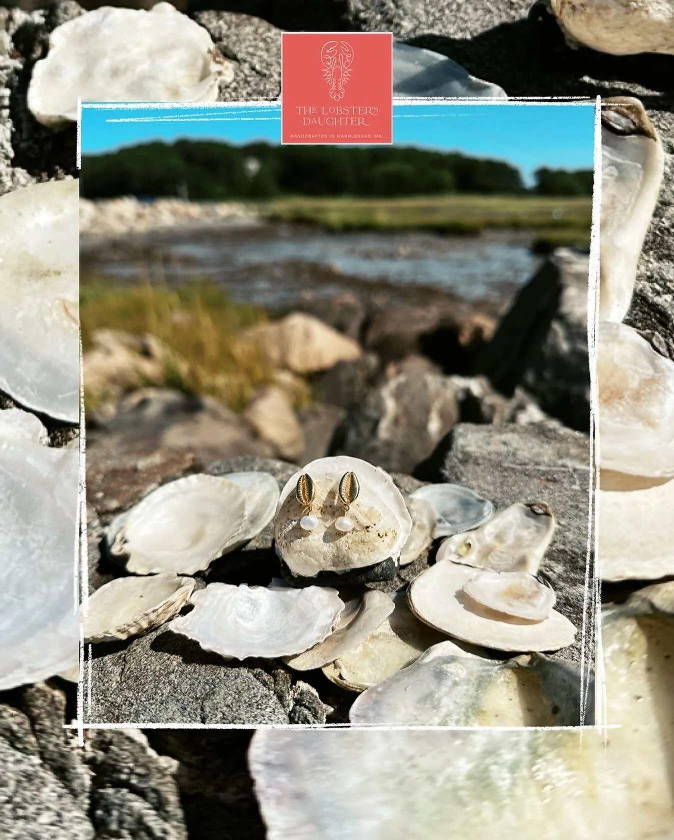 Foraging shells on the shores of Kennebunkport, Maine for our next collection. 
Couldn&rsquo;t resist dressing a clam up with our Small Golden Cowrie + Pearl earrings 🦪 
T🦞D