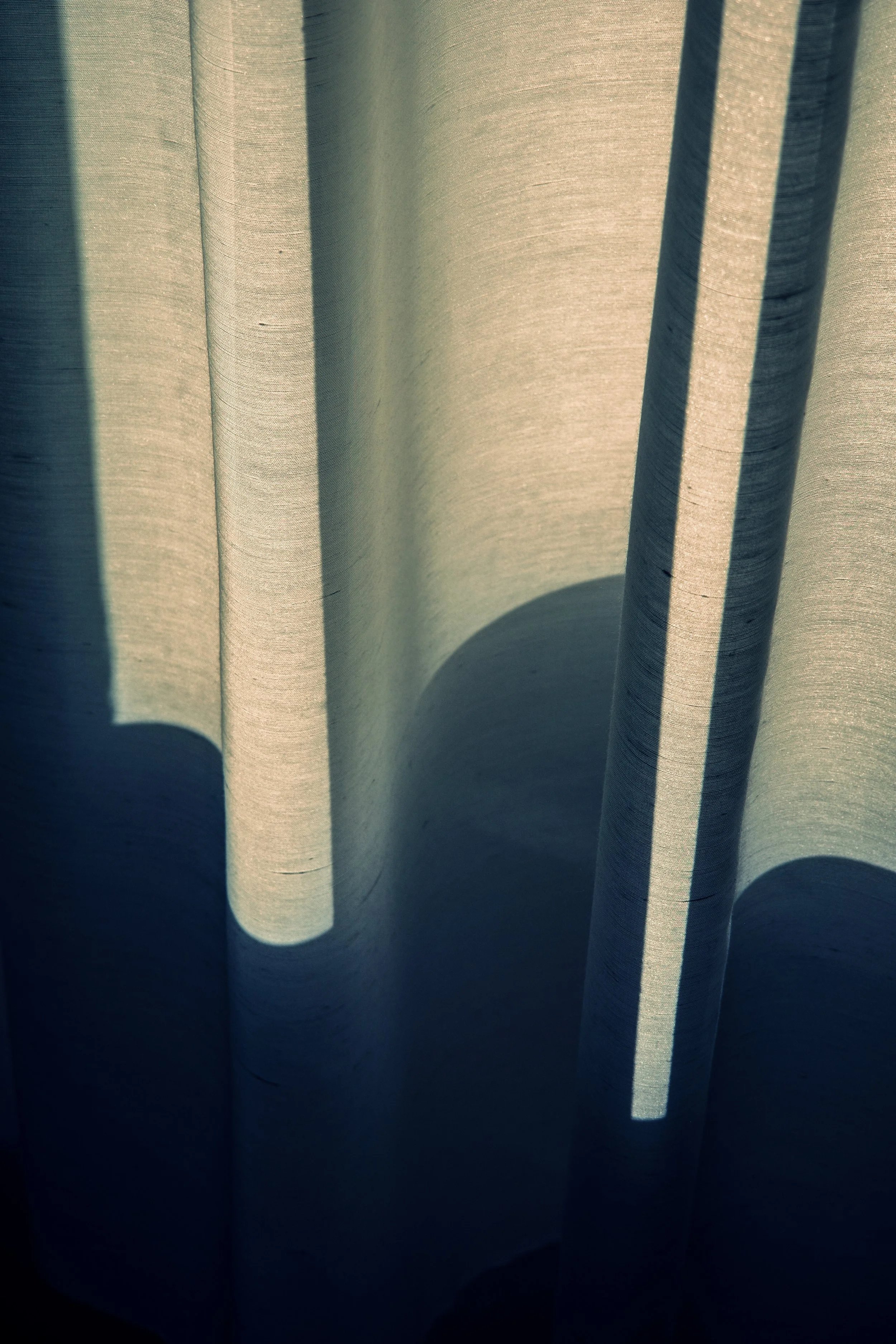 SI_Form and Function.JPG