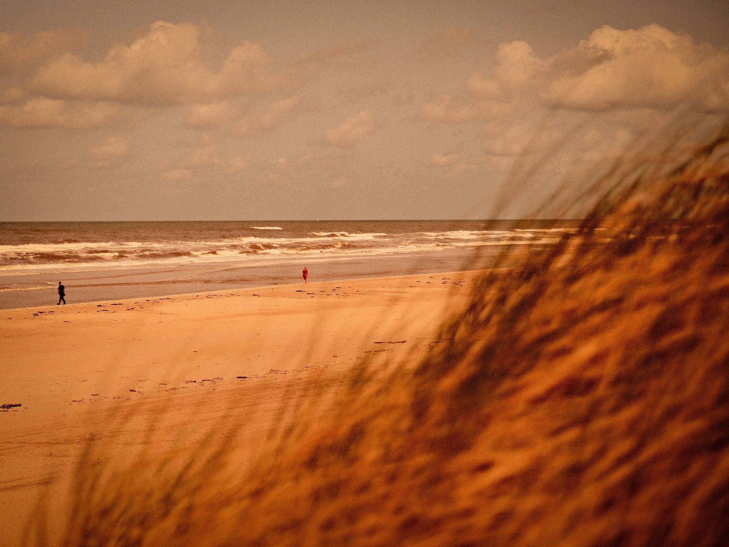 New_NSC_The Spy who came in from the Dunes.JPG