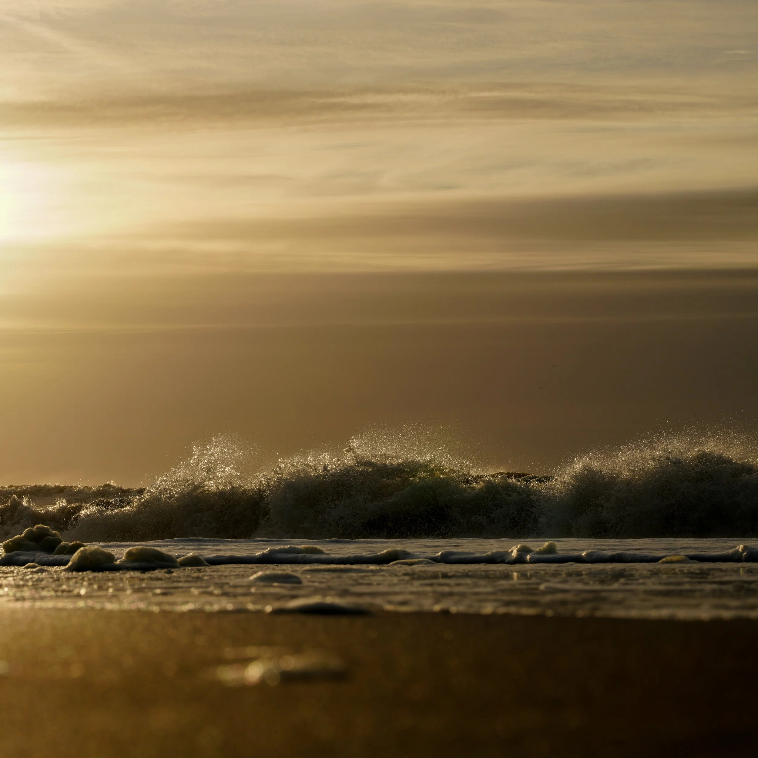 Sunset North Sea Coast Seaside Netherlands Gold 1x1.JPG