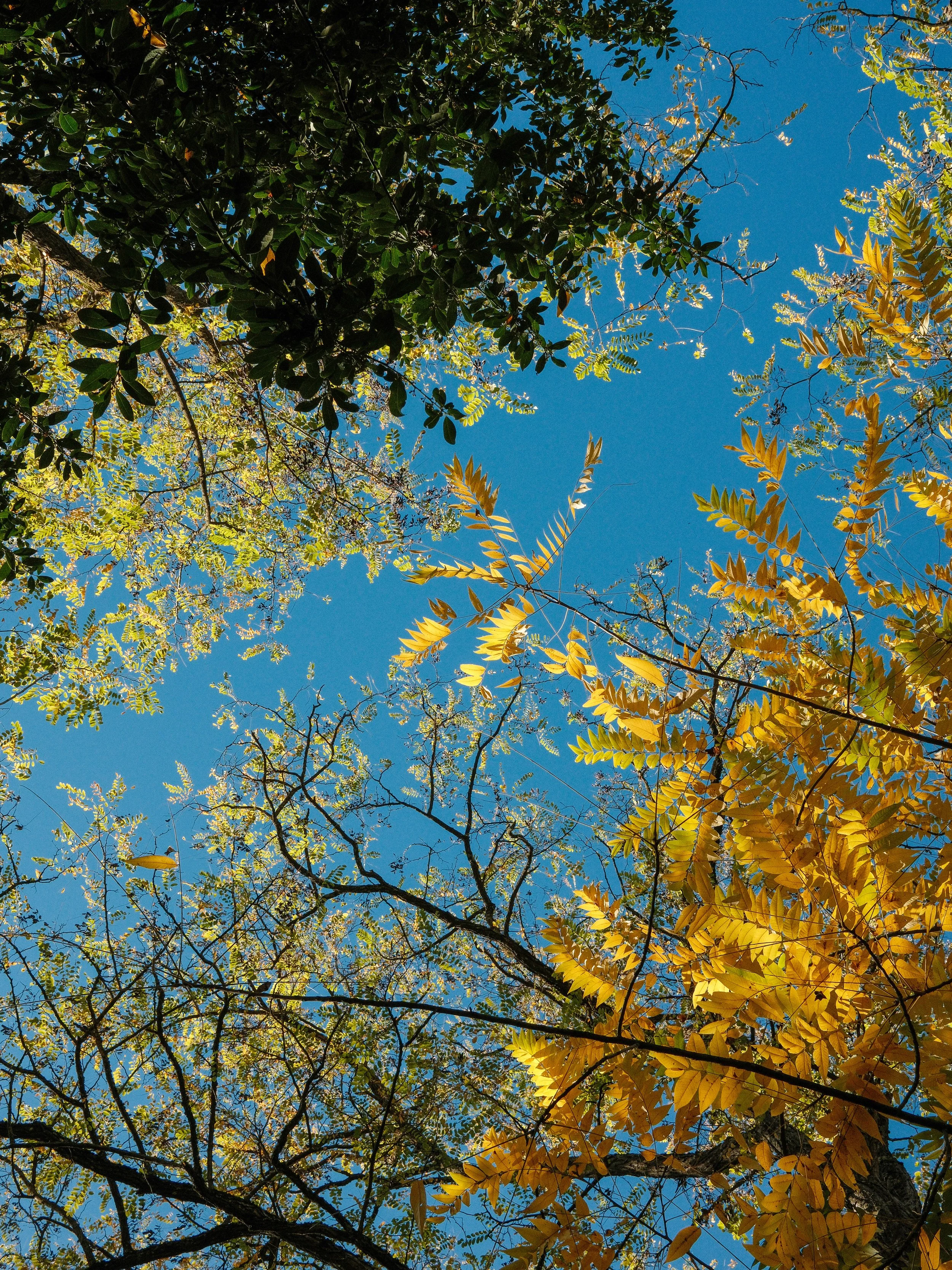 NandL_Autumn is a Feast for the Soul.JPG