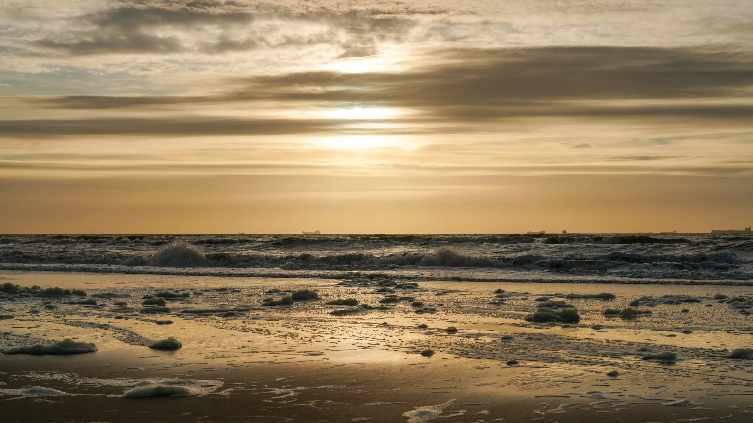 Sunset North Sea Coast Seaside Netherlands Gold Blue Dark 16-9
