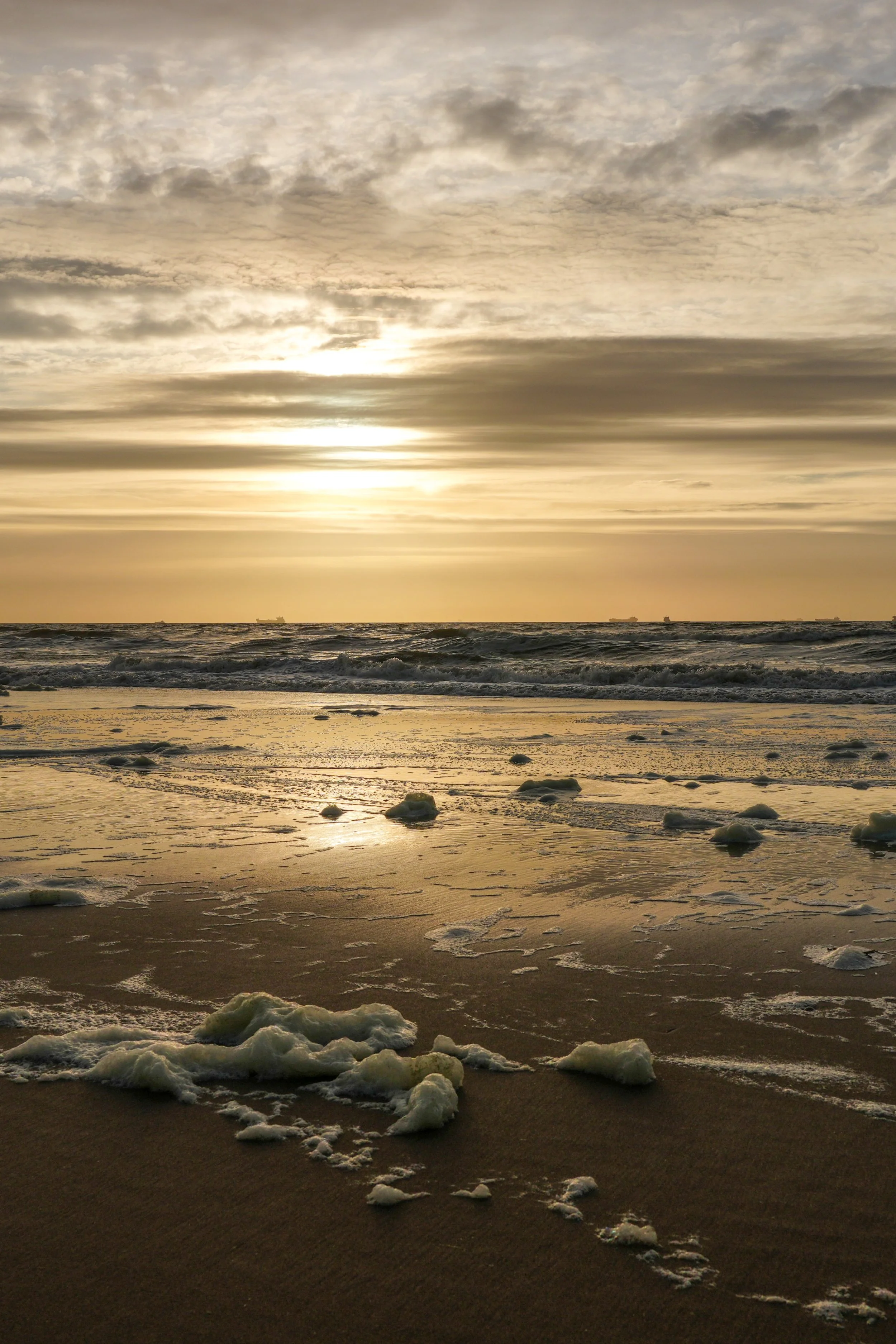 Sunset North Sea Coast Seaside Netherlands Gold Blue Portrait.jpg