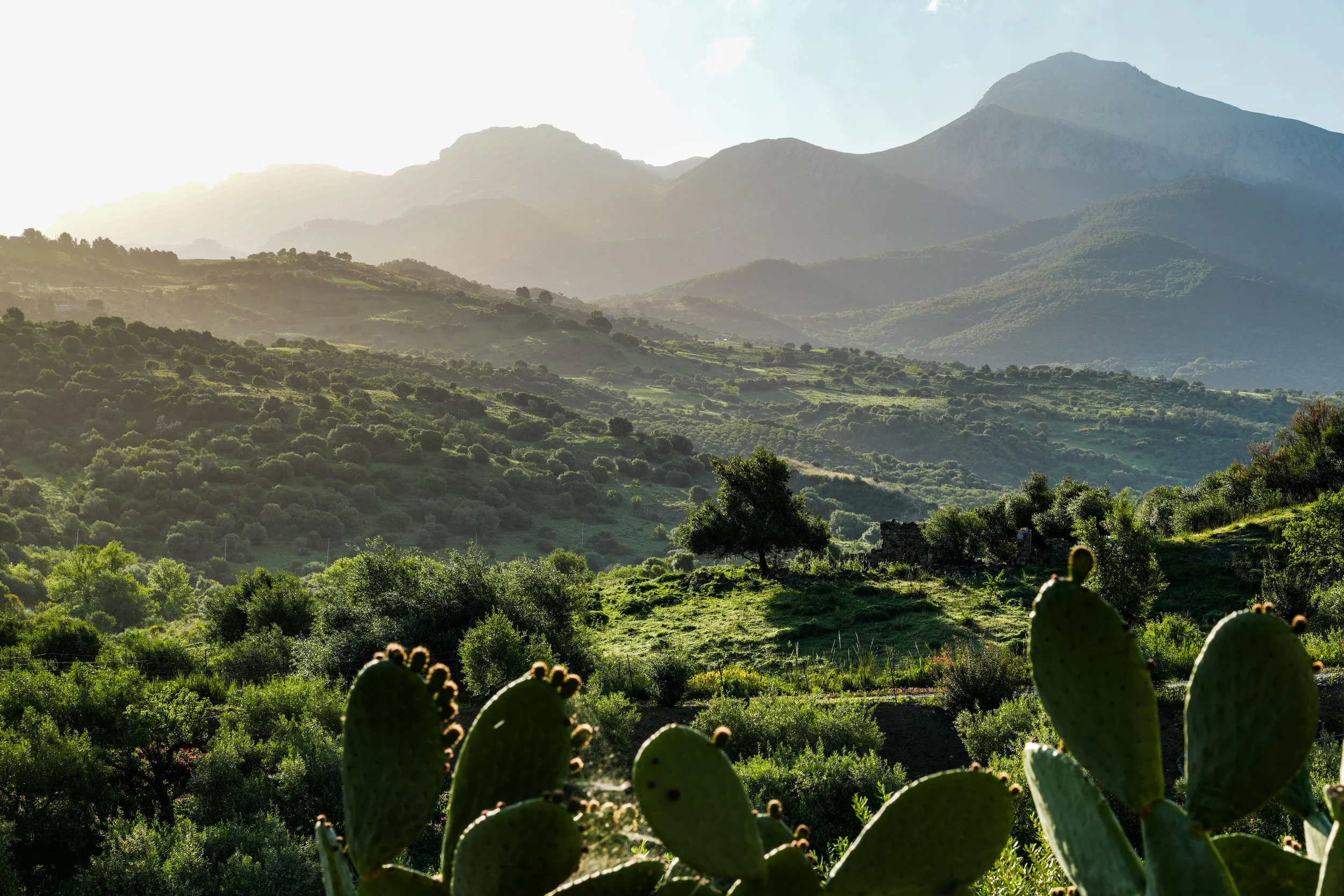 IL_Sicilian Sunrise.JPG