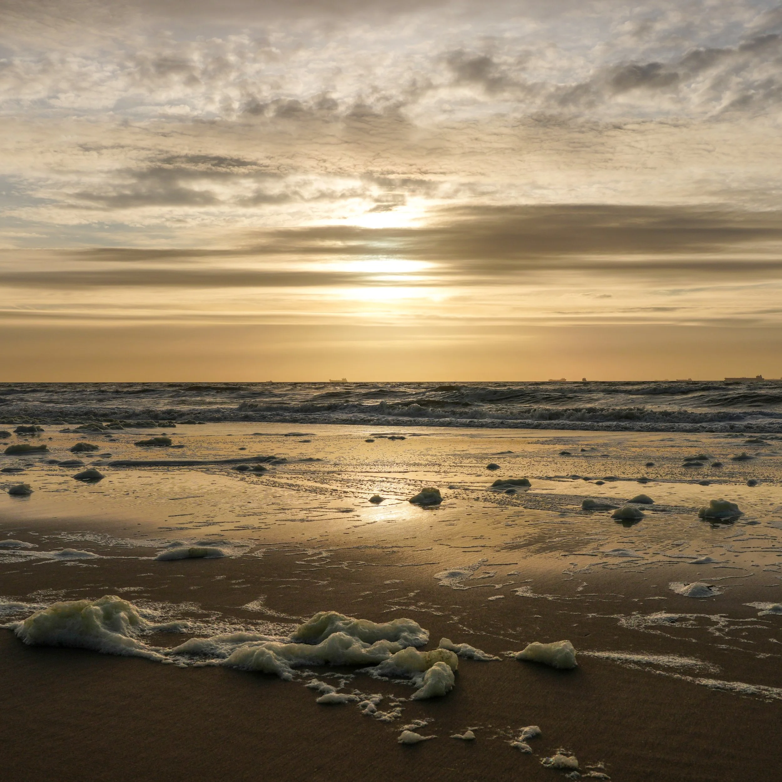 Sunset North Sea Coast Seaside Netherlands Gold Blue Square
