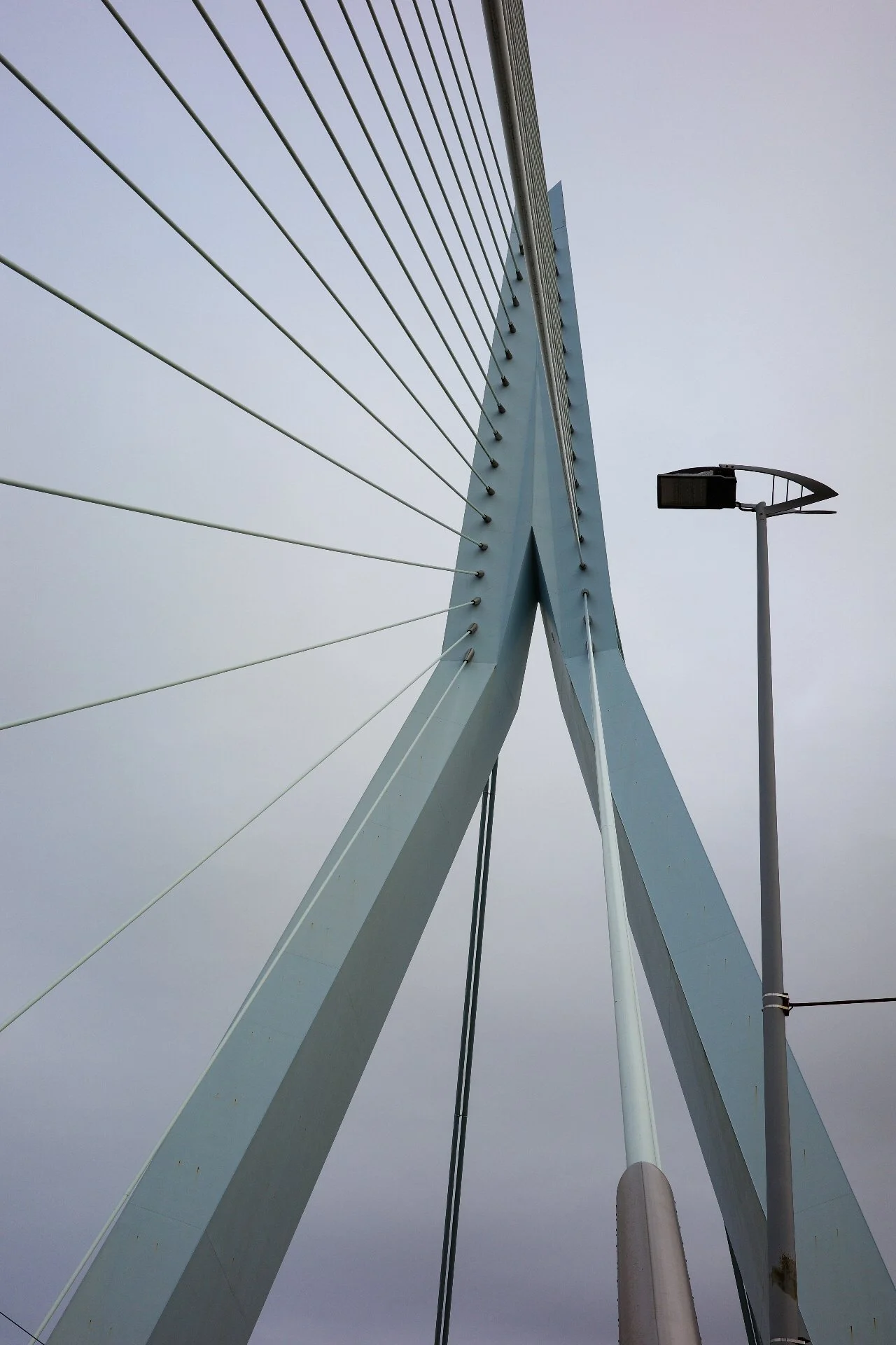 Architecture Erasmus Bridge Rotterdam Netherlands
