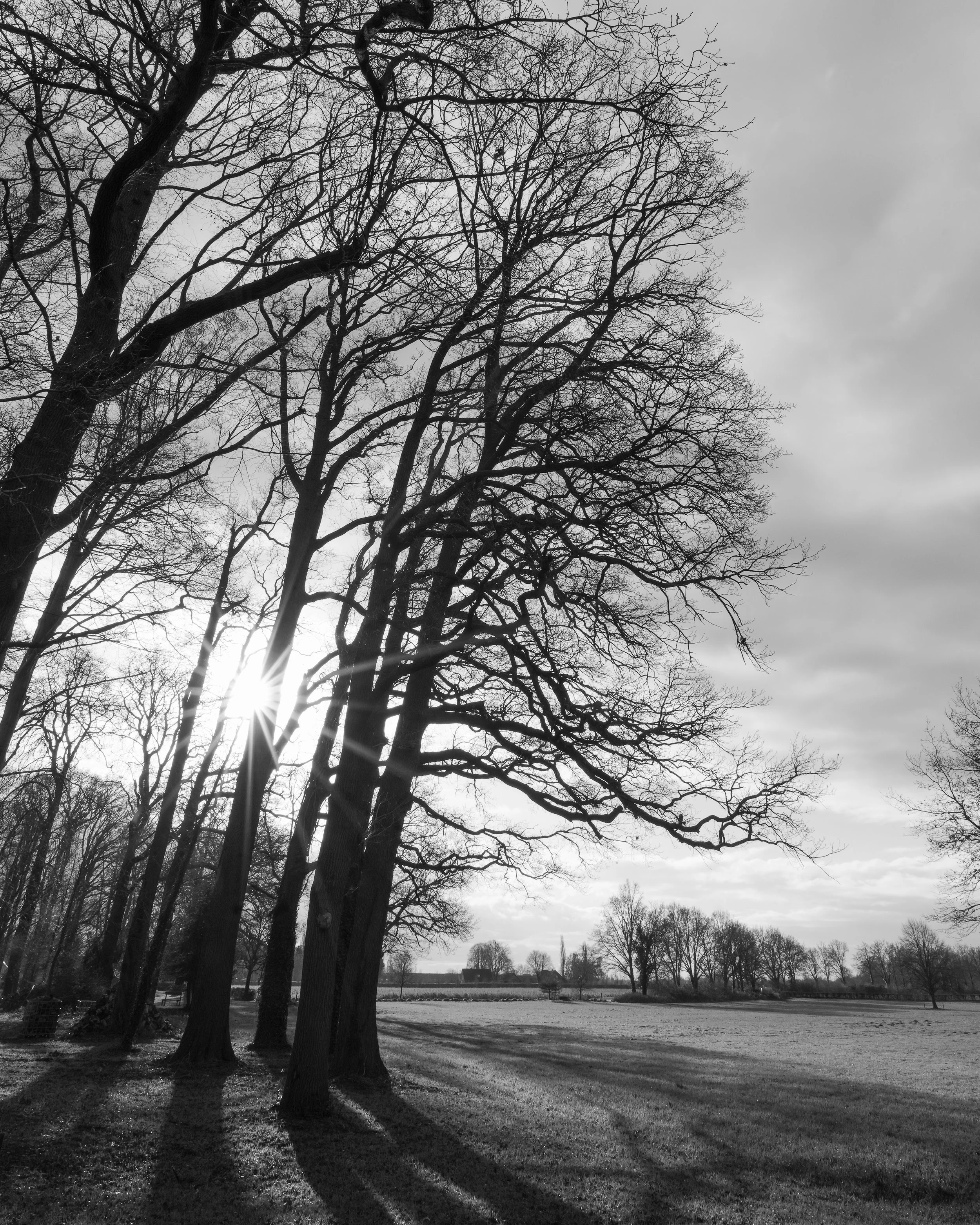 MONO Early Morning Light around Zutphen 3-4.JPG
