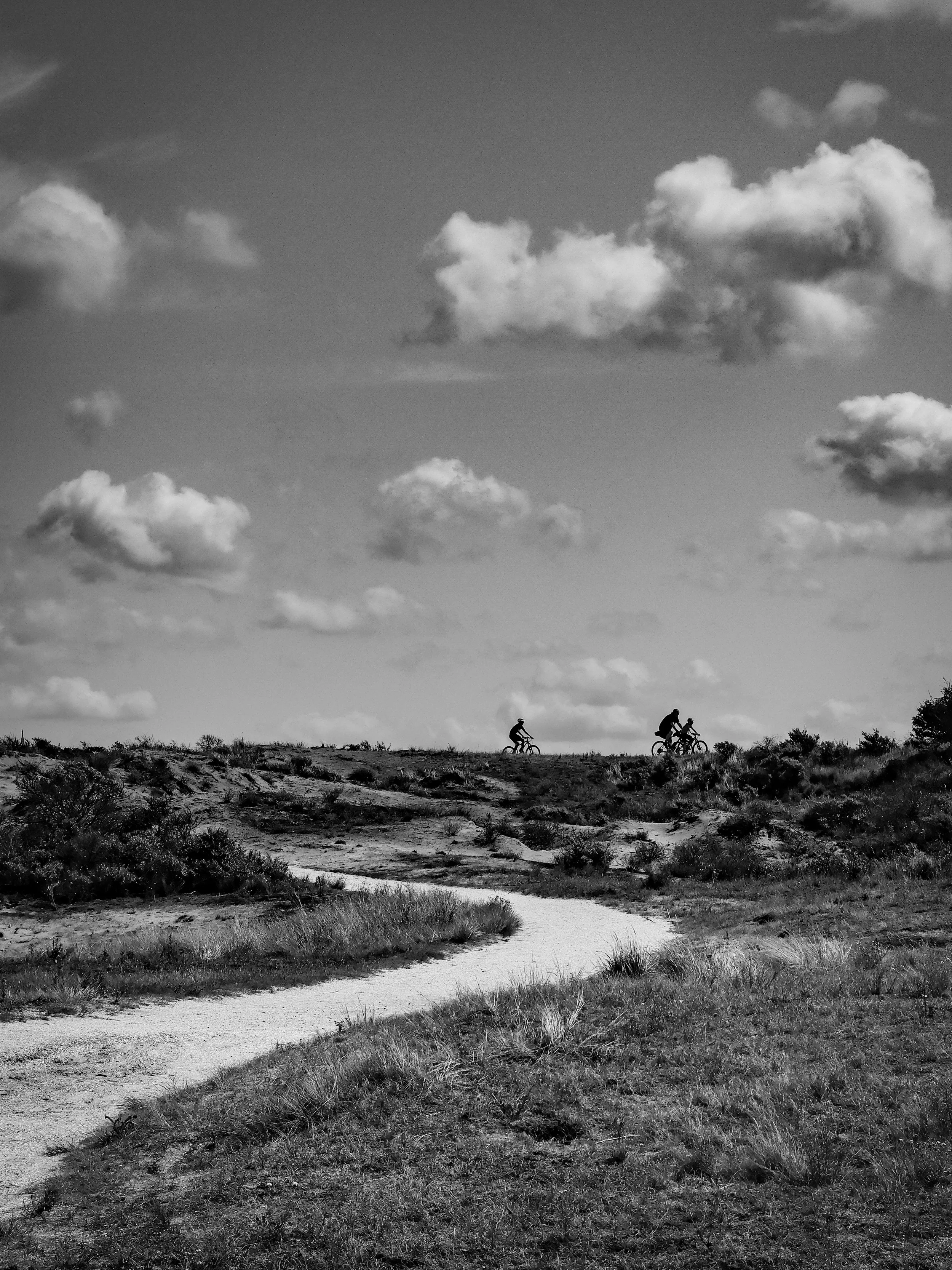 New_NSC_Dune Poetry.JPG