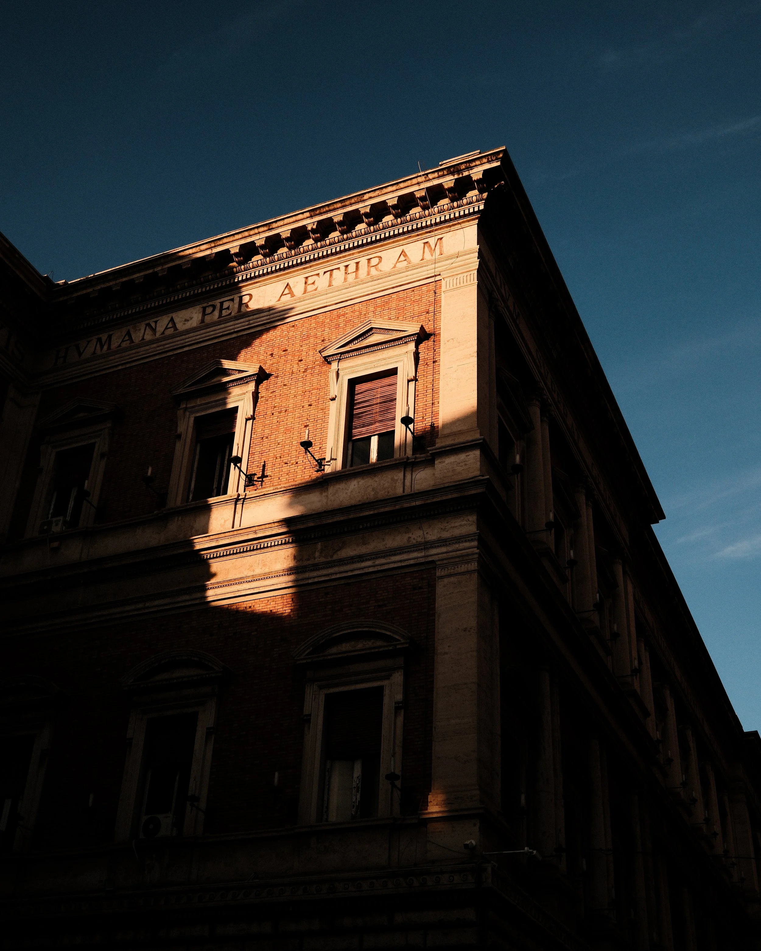 New Thumb Architecture.jpeg